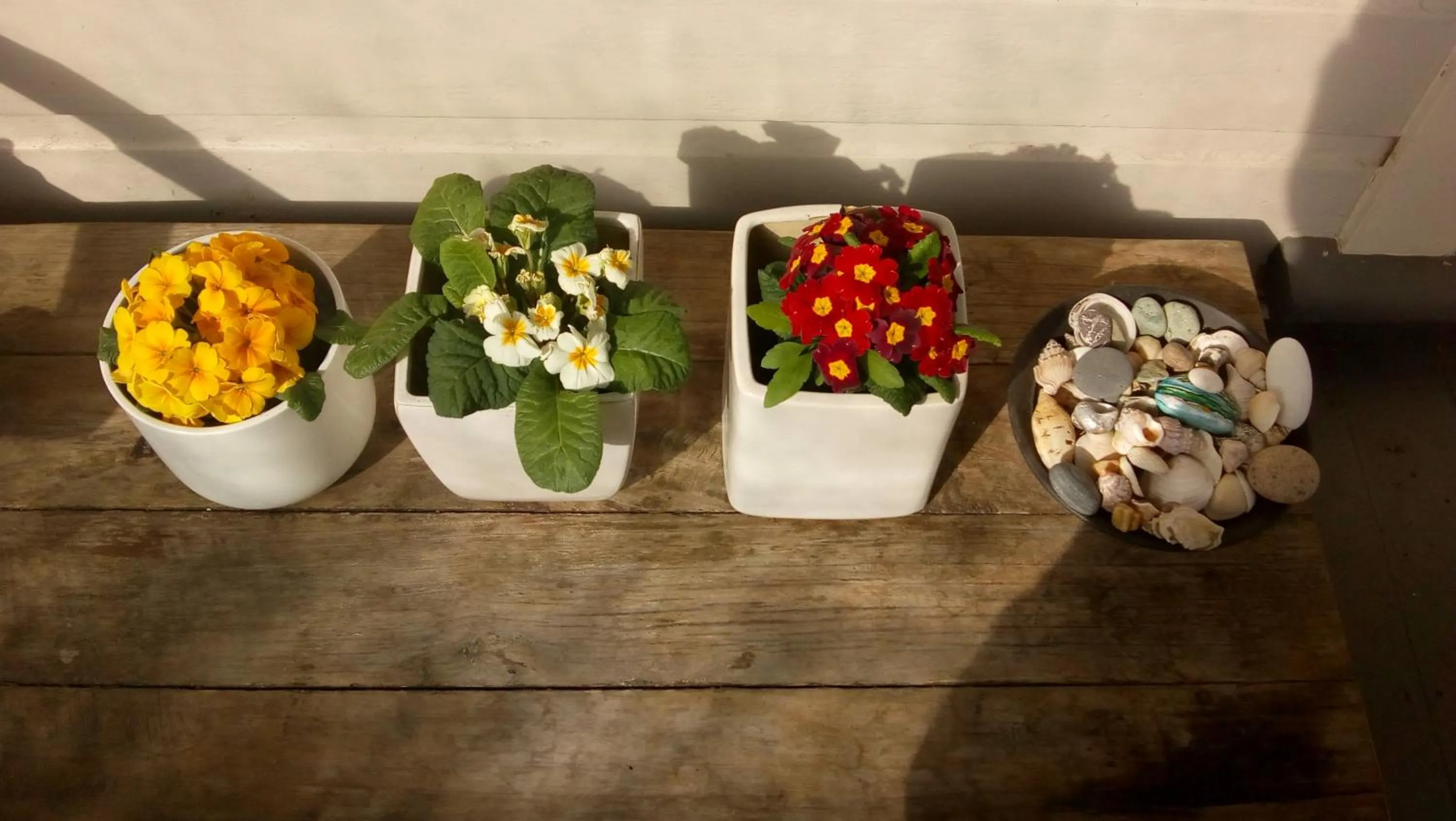 Summer in Lantana Lodge