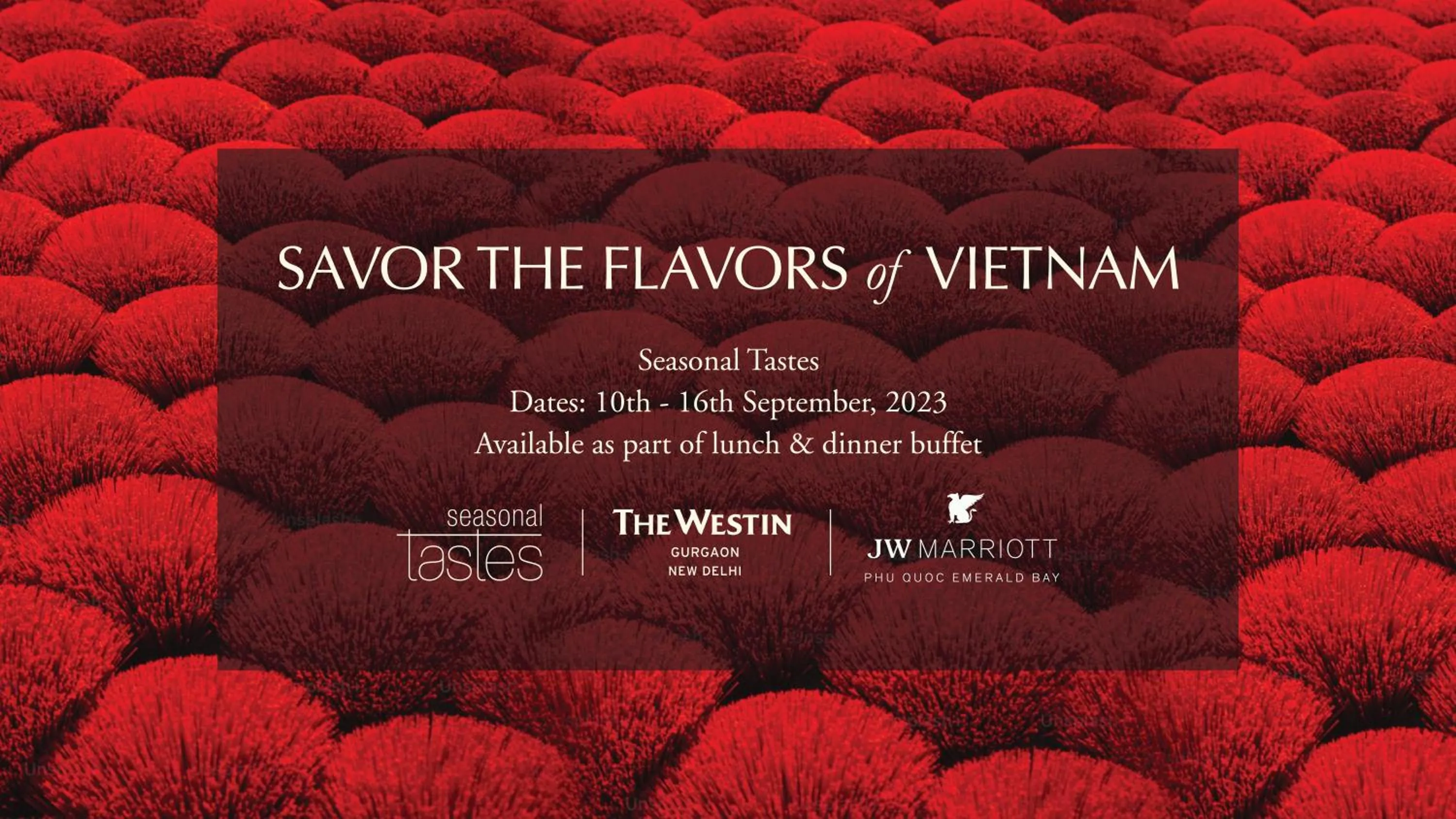 Food and drinks in The Westin Gurgaon, New Delhi