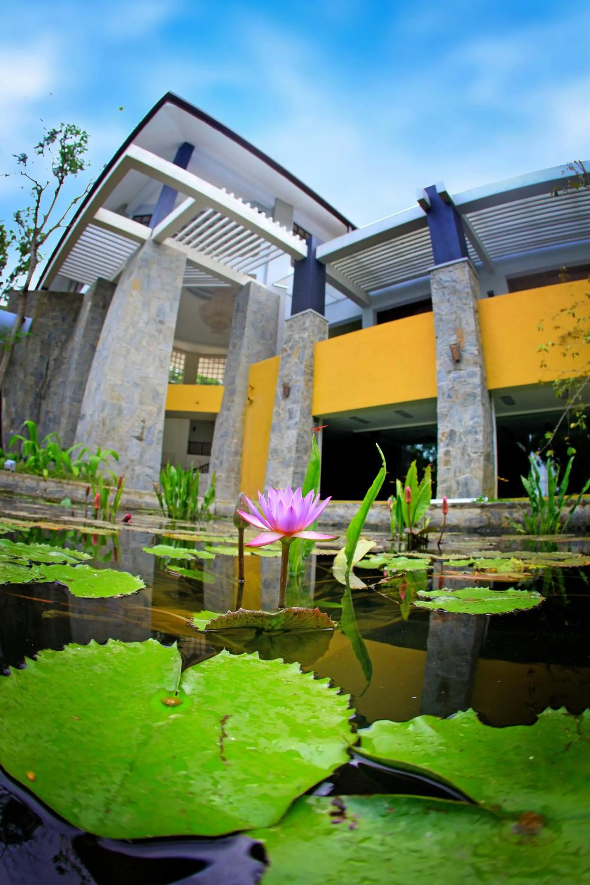 Property building in Grand Udawalawe Safari Resort