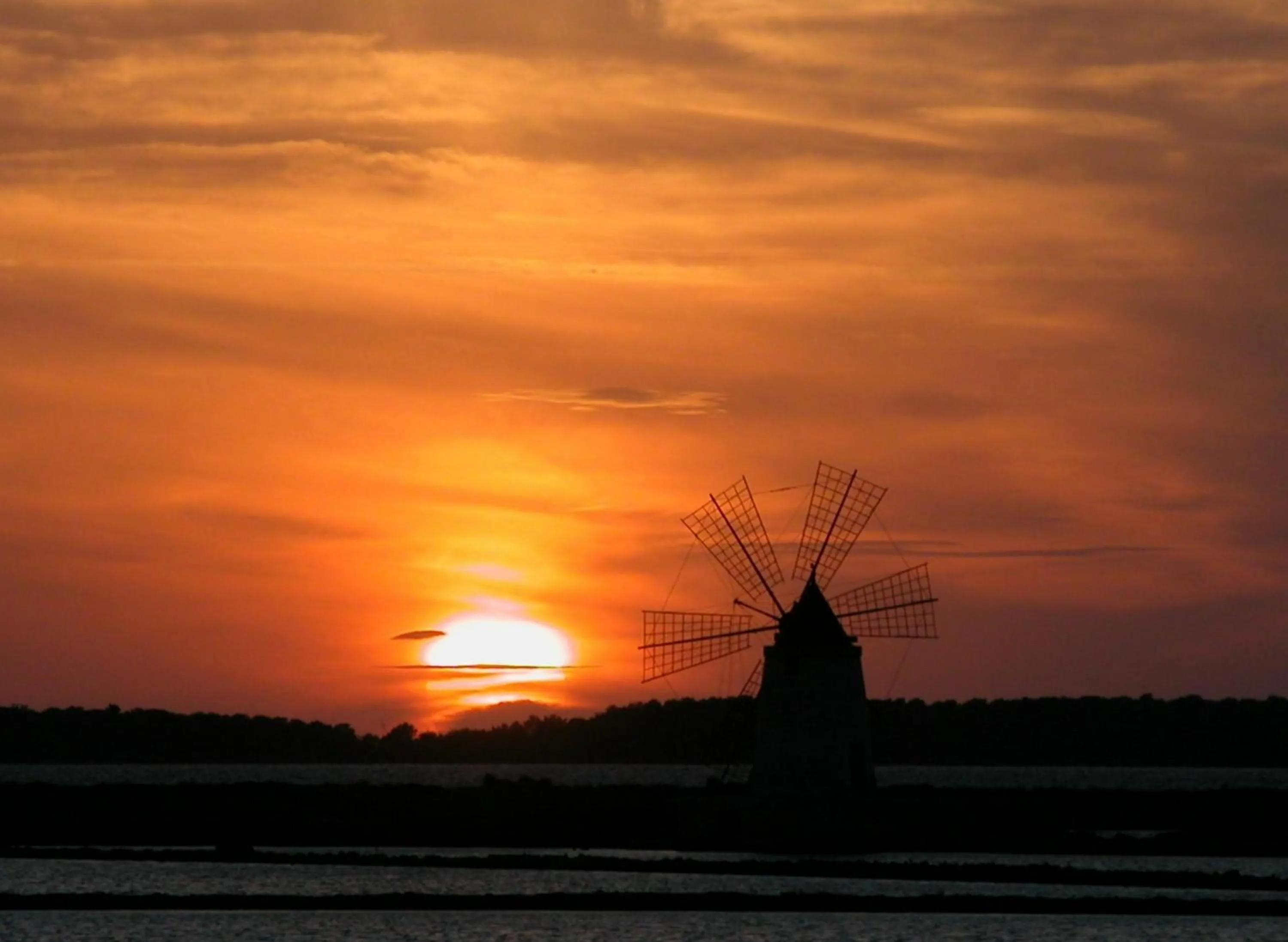 Natural landscape in Delfino Beach Hotel