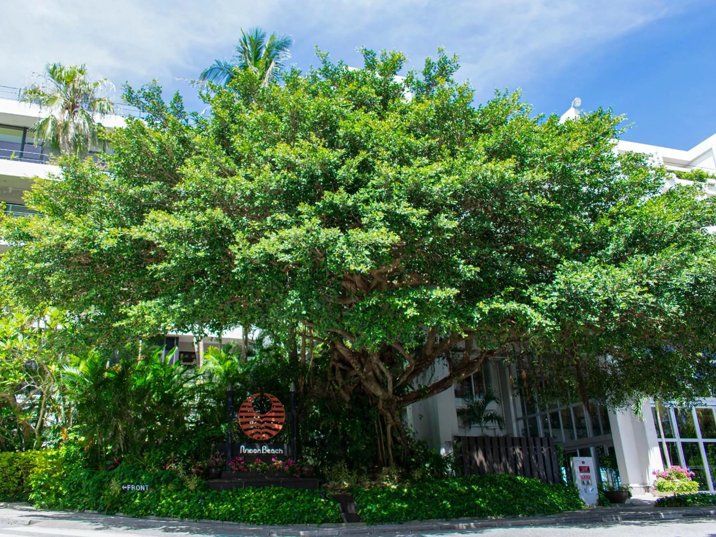 Day in The Moon Beach Museum Resort