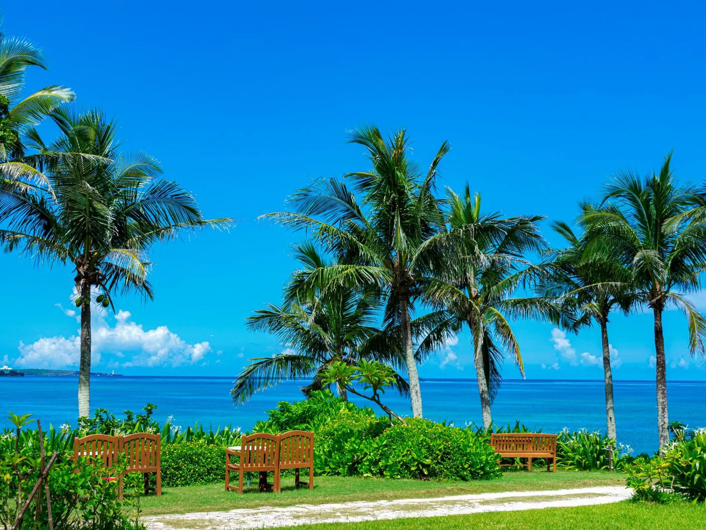 Day in The Moon Beach Museum Resort