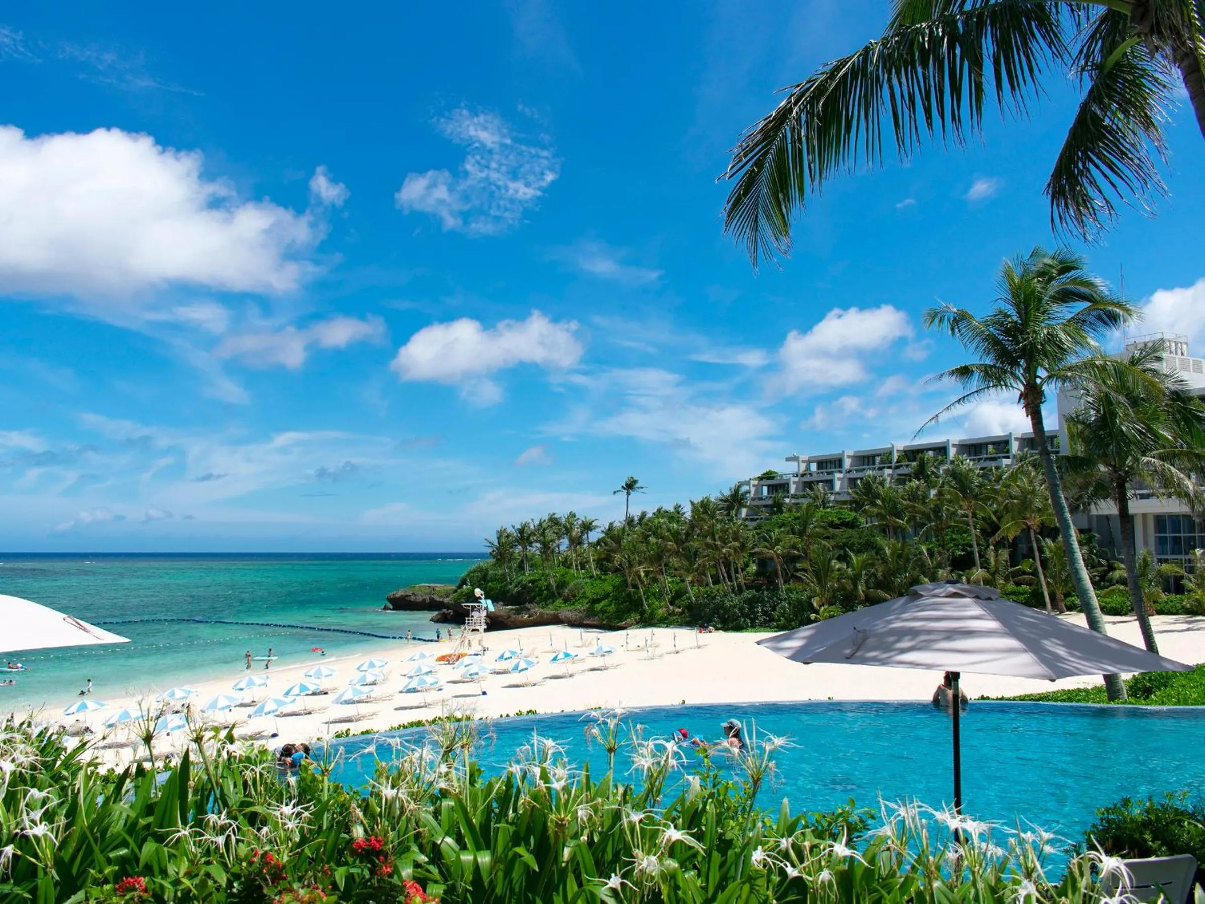 Day in The Moon Beach Museum Resort