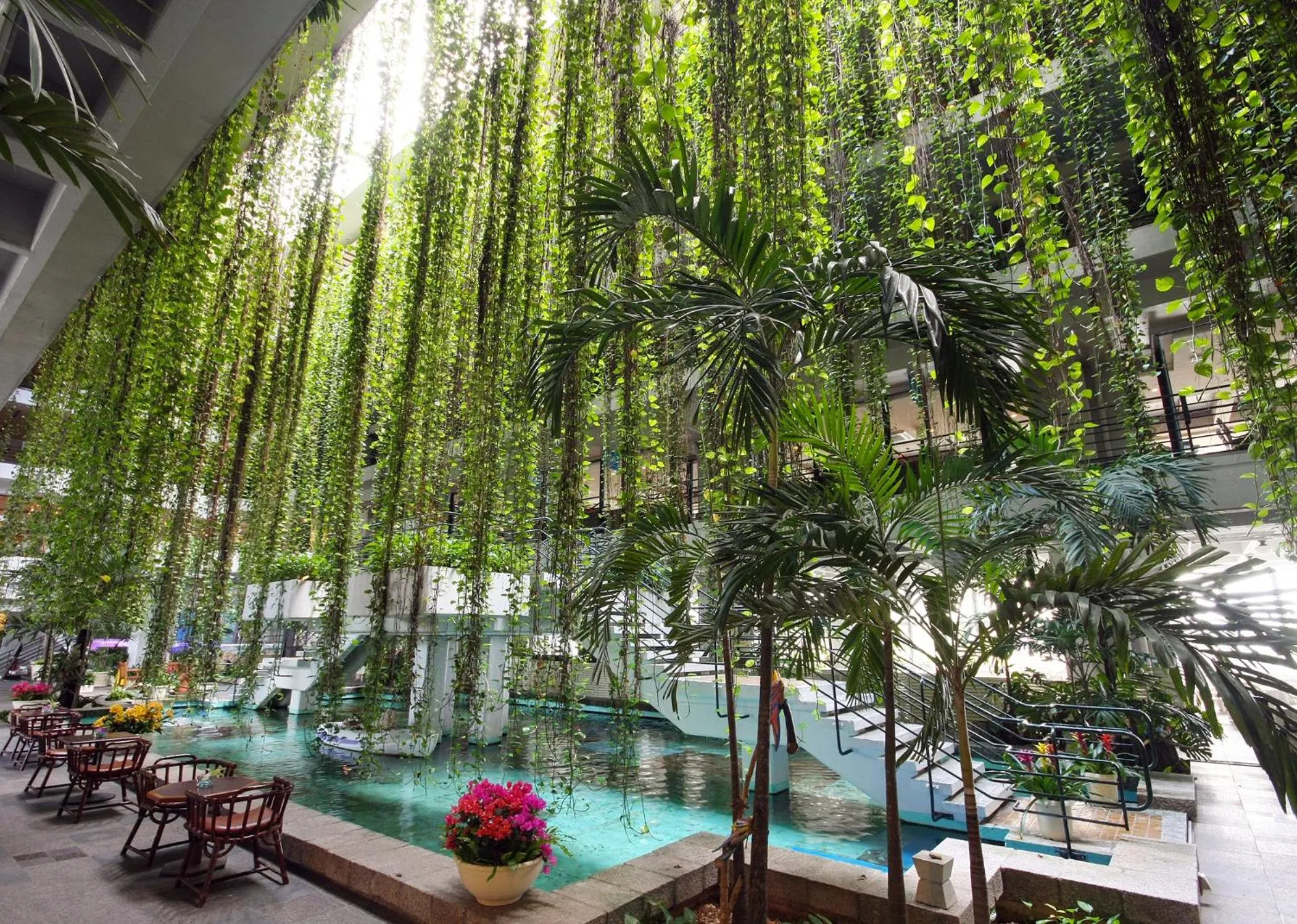 Area and facilities in The Moon Beach Museum Resort