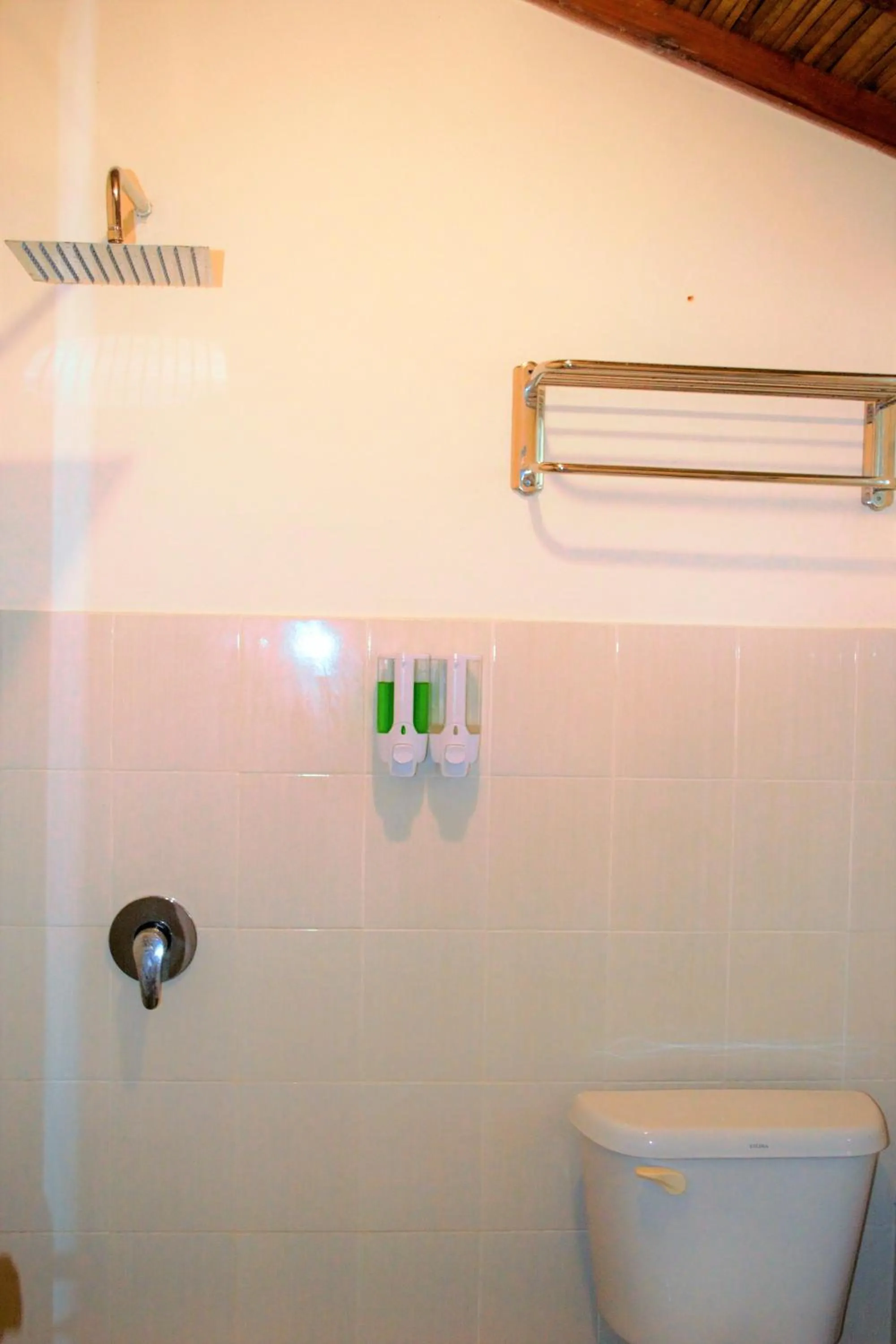 Shower in Alden Beach House