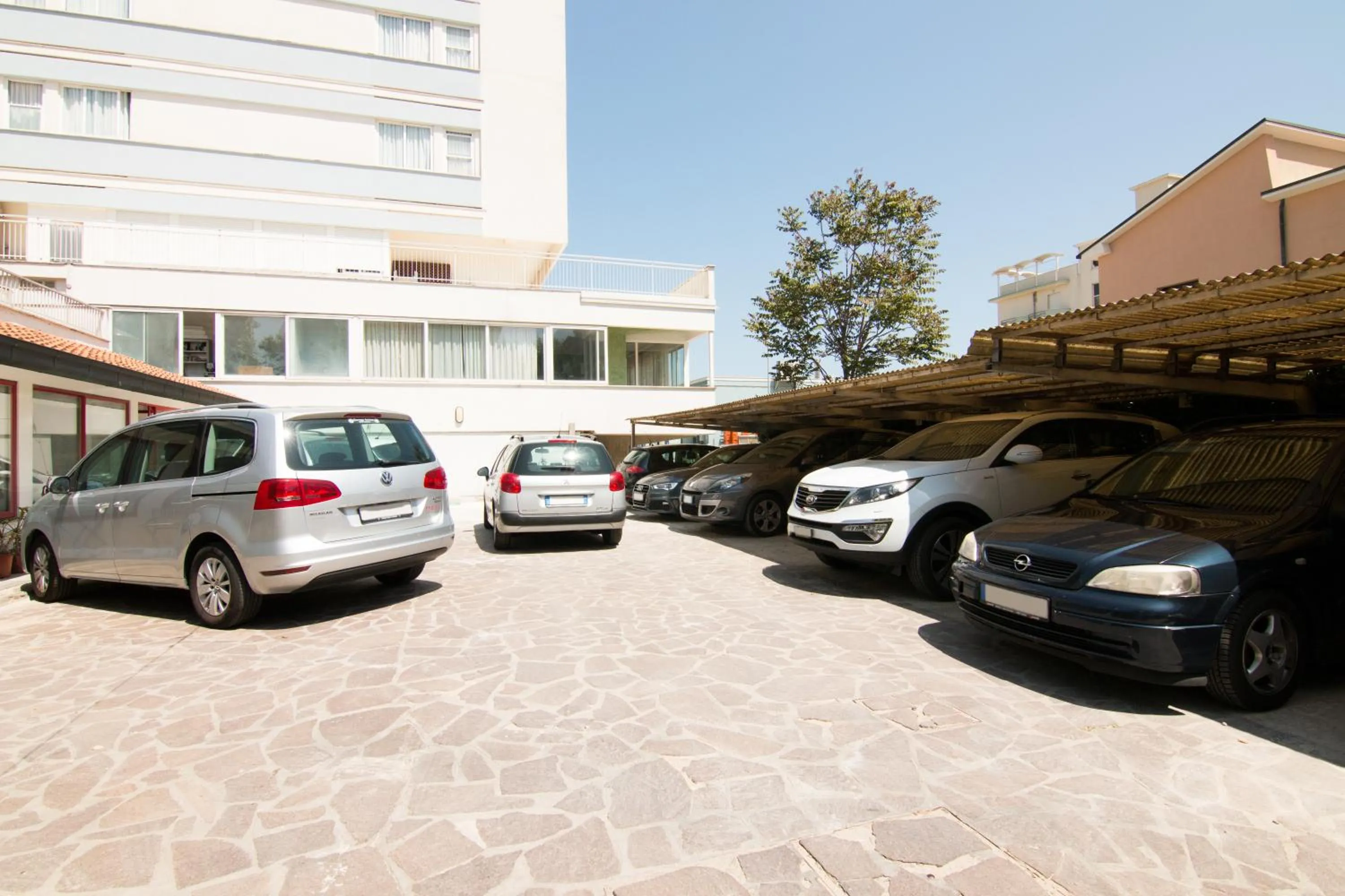 Area and facilities in Hotel Elios