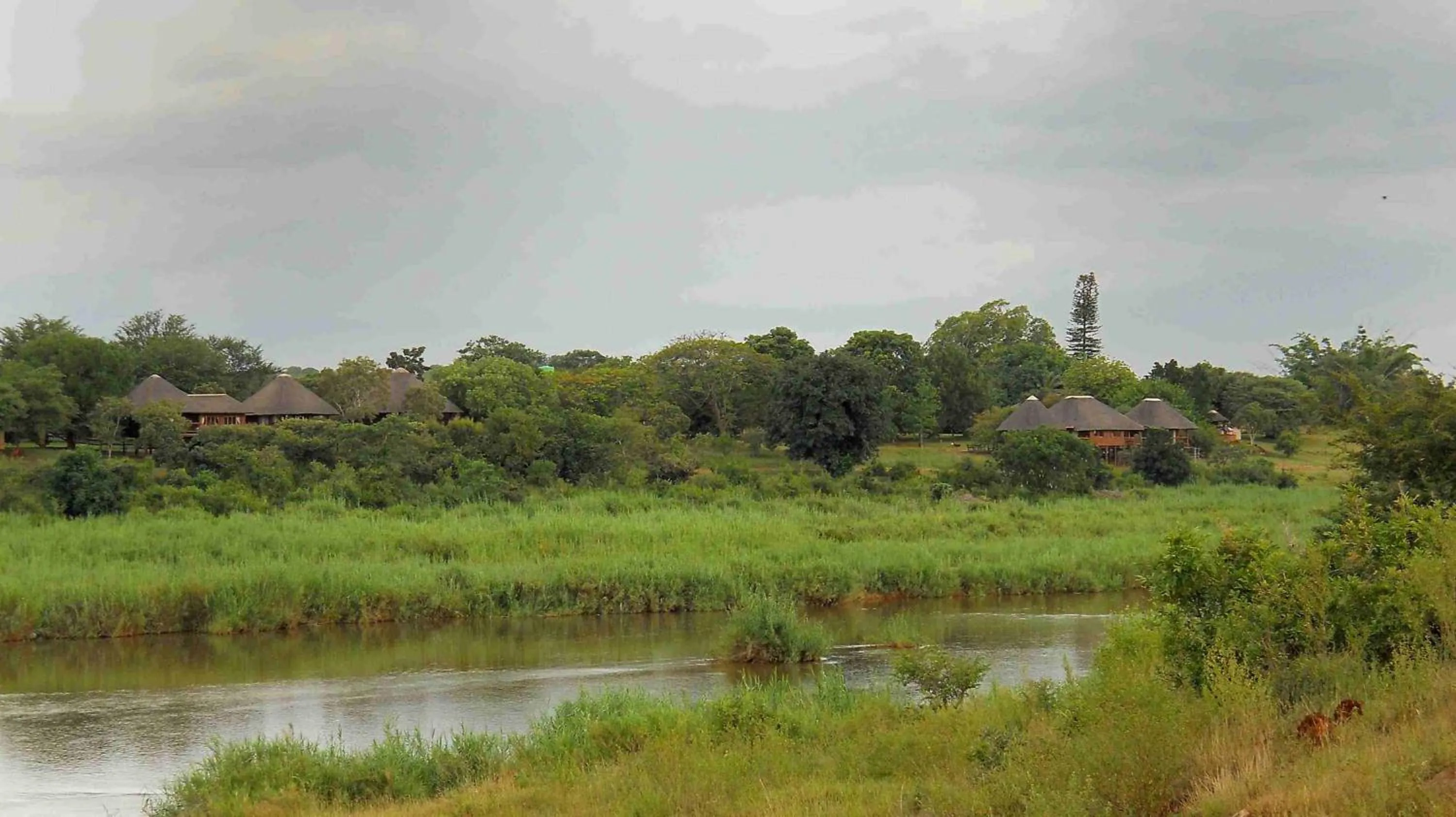 View (from property/room) in Elephant Walk Retreat
