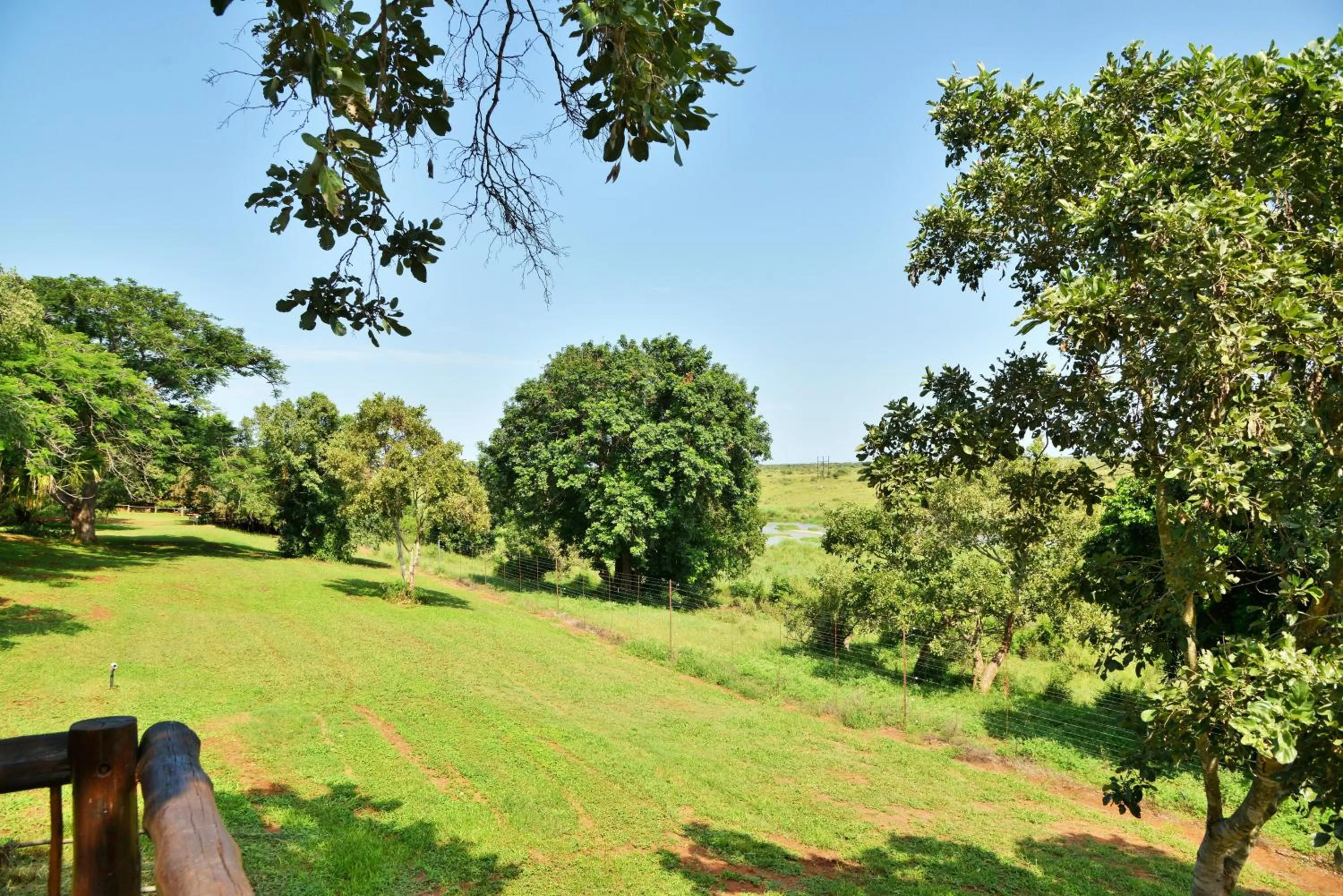Garden in Elephant Walk Retreat