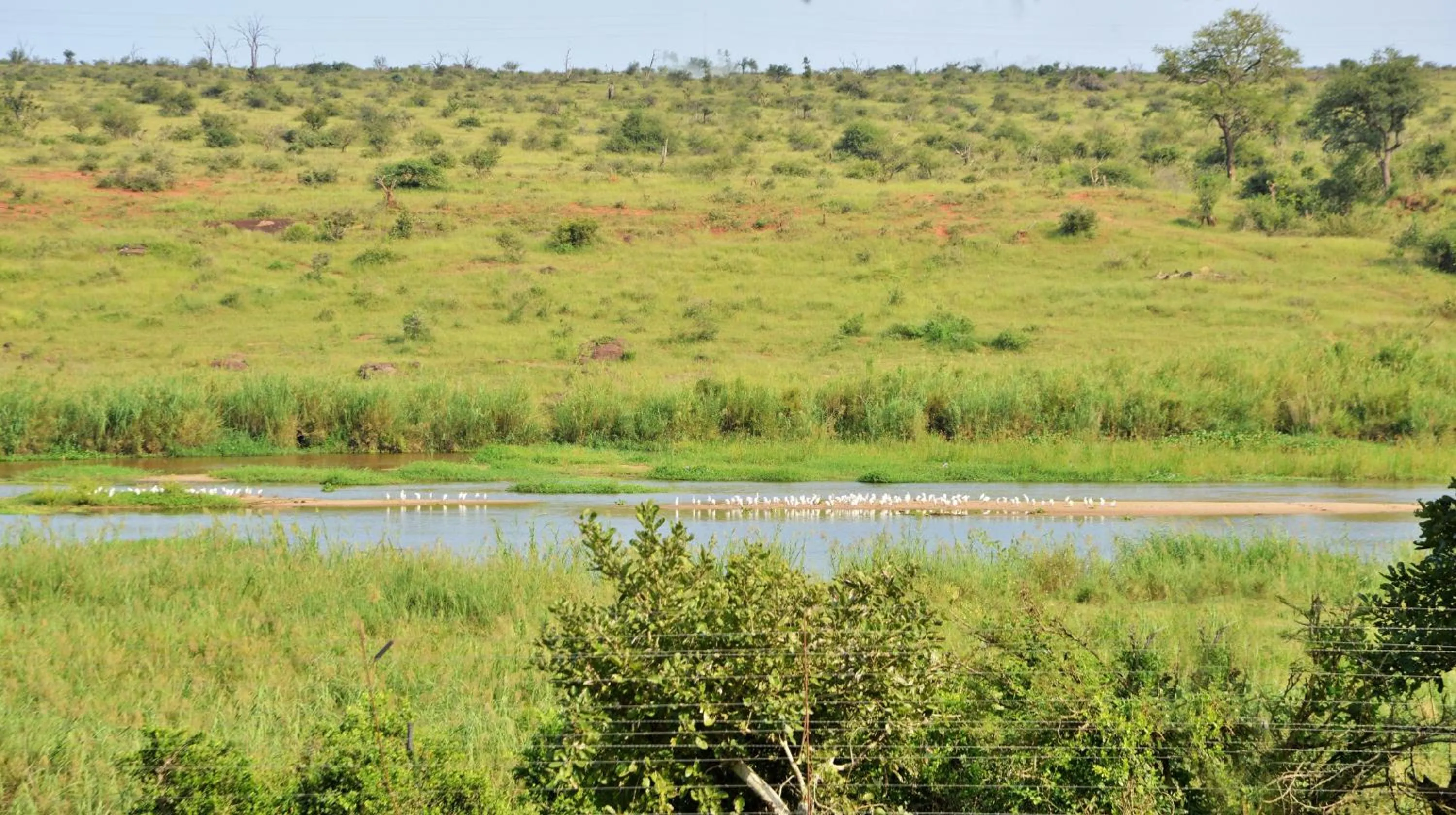 View (from property/room) in Elephant Walk Retreat