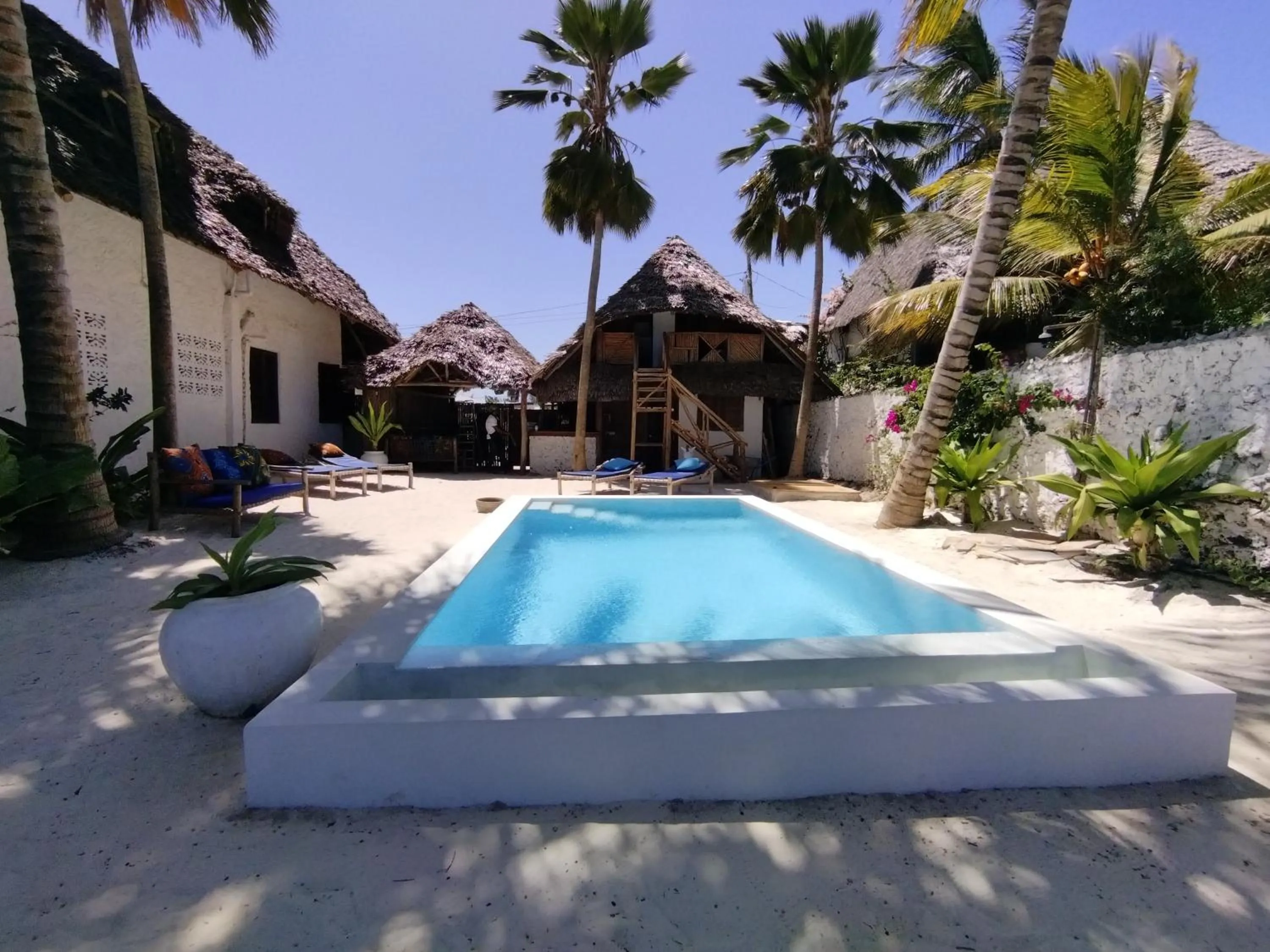 Pool view in Joya Boutique Hotel