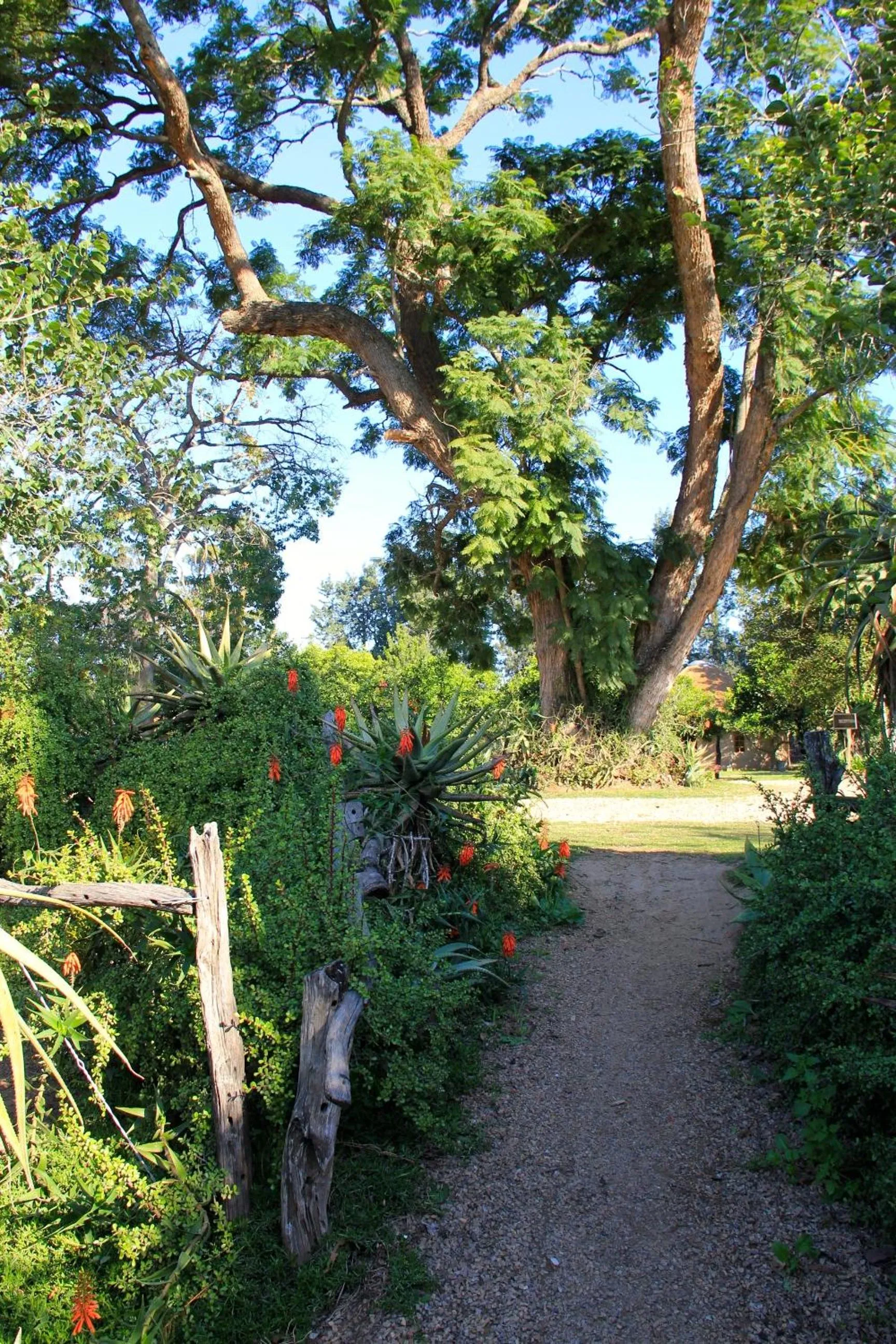 Winter in Chrislin African Lodge