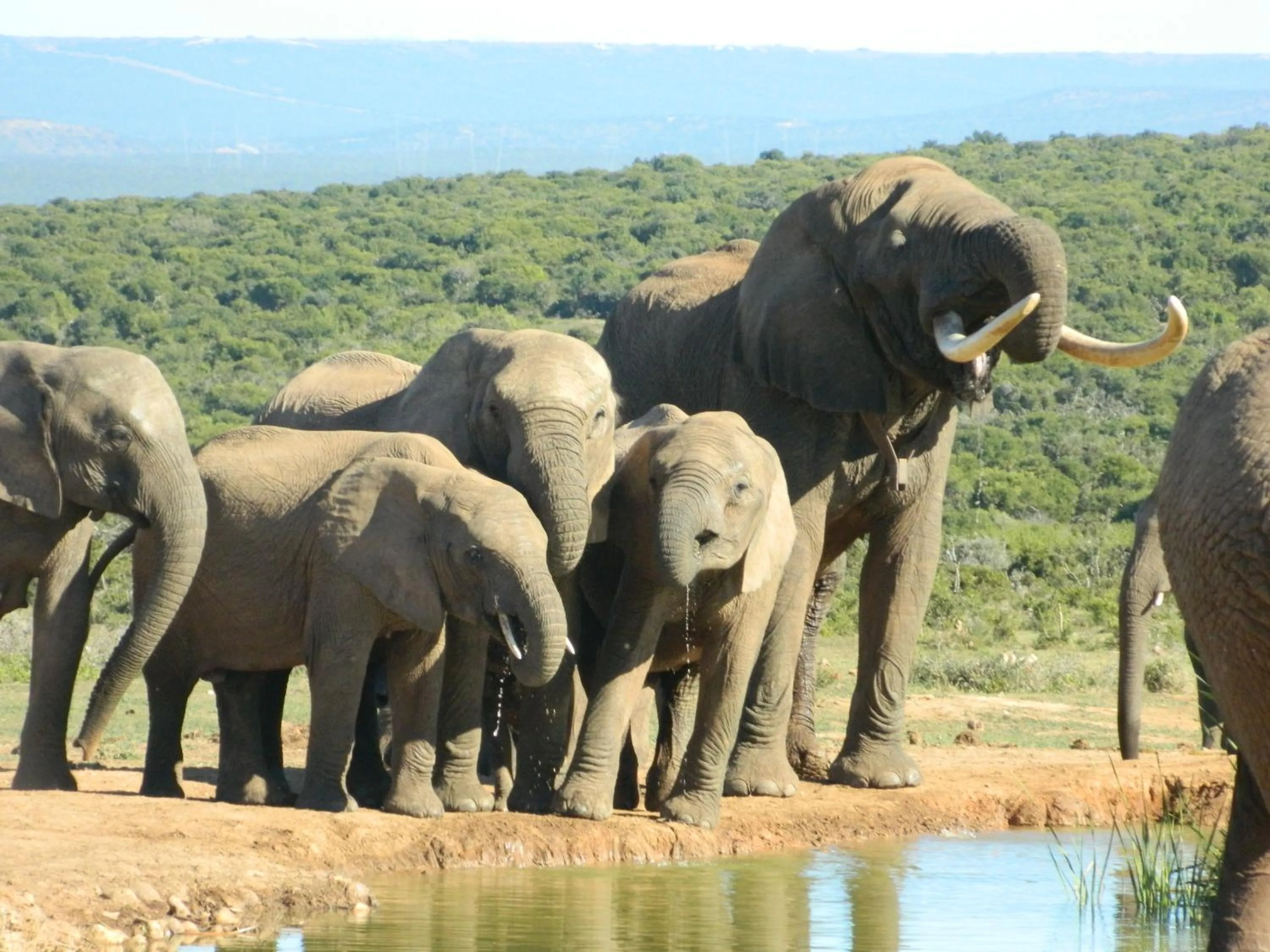 Activities in Chrislin African Lodge