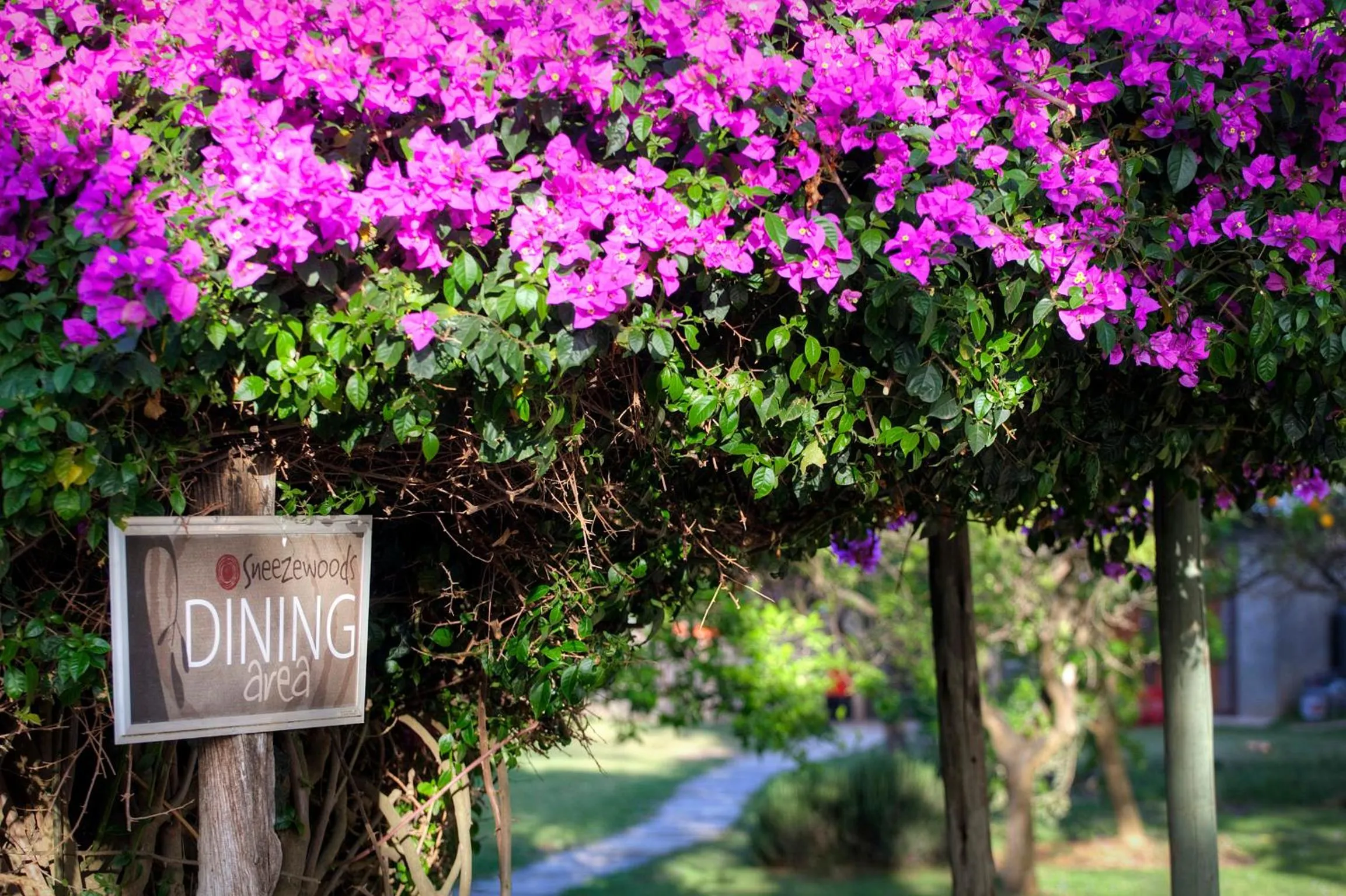 Restaurant/places to eat in Chrislin African Lodge