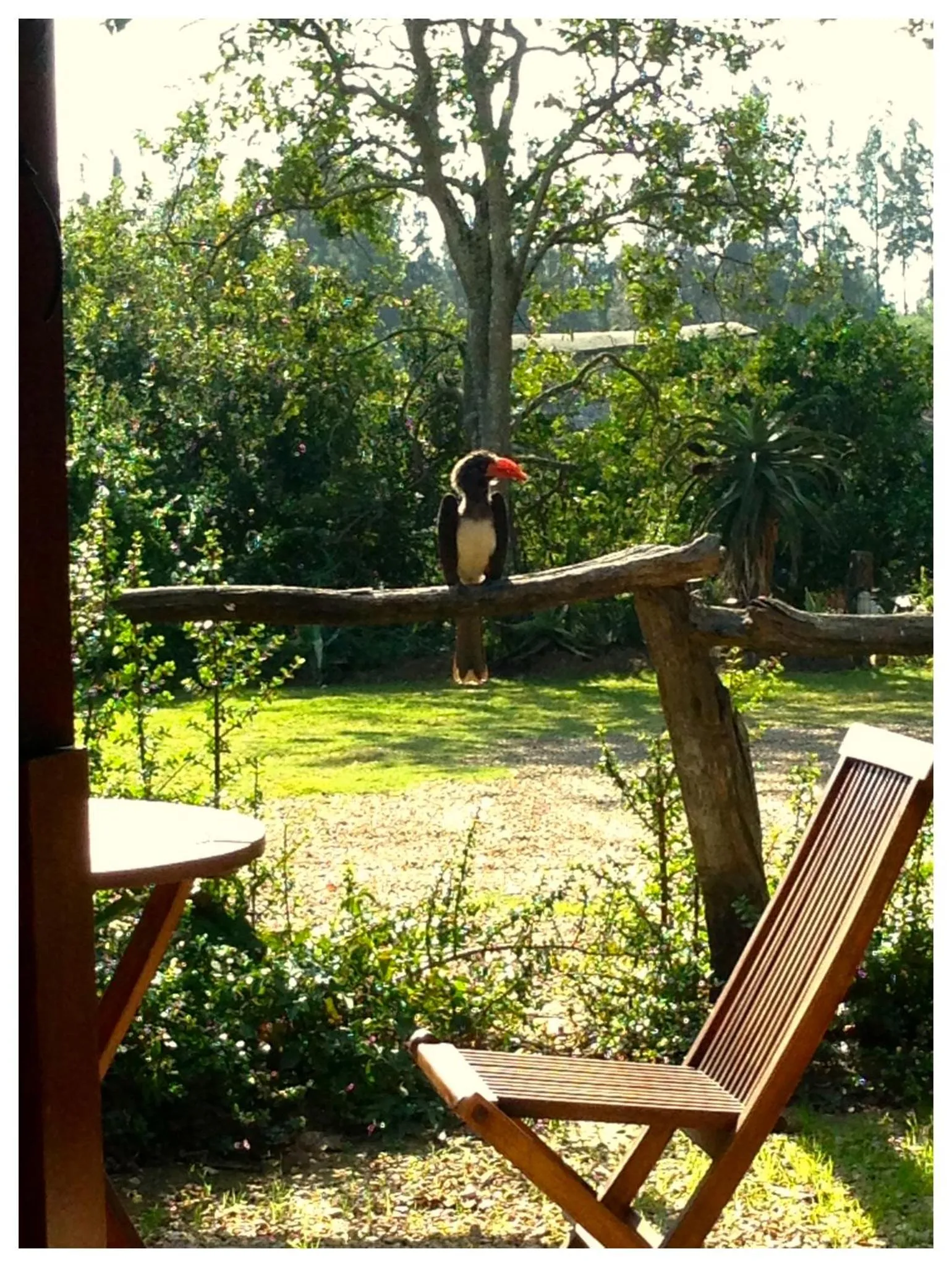 Lobby or reception in Chrislin African Lodge