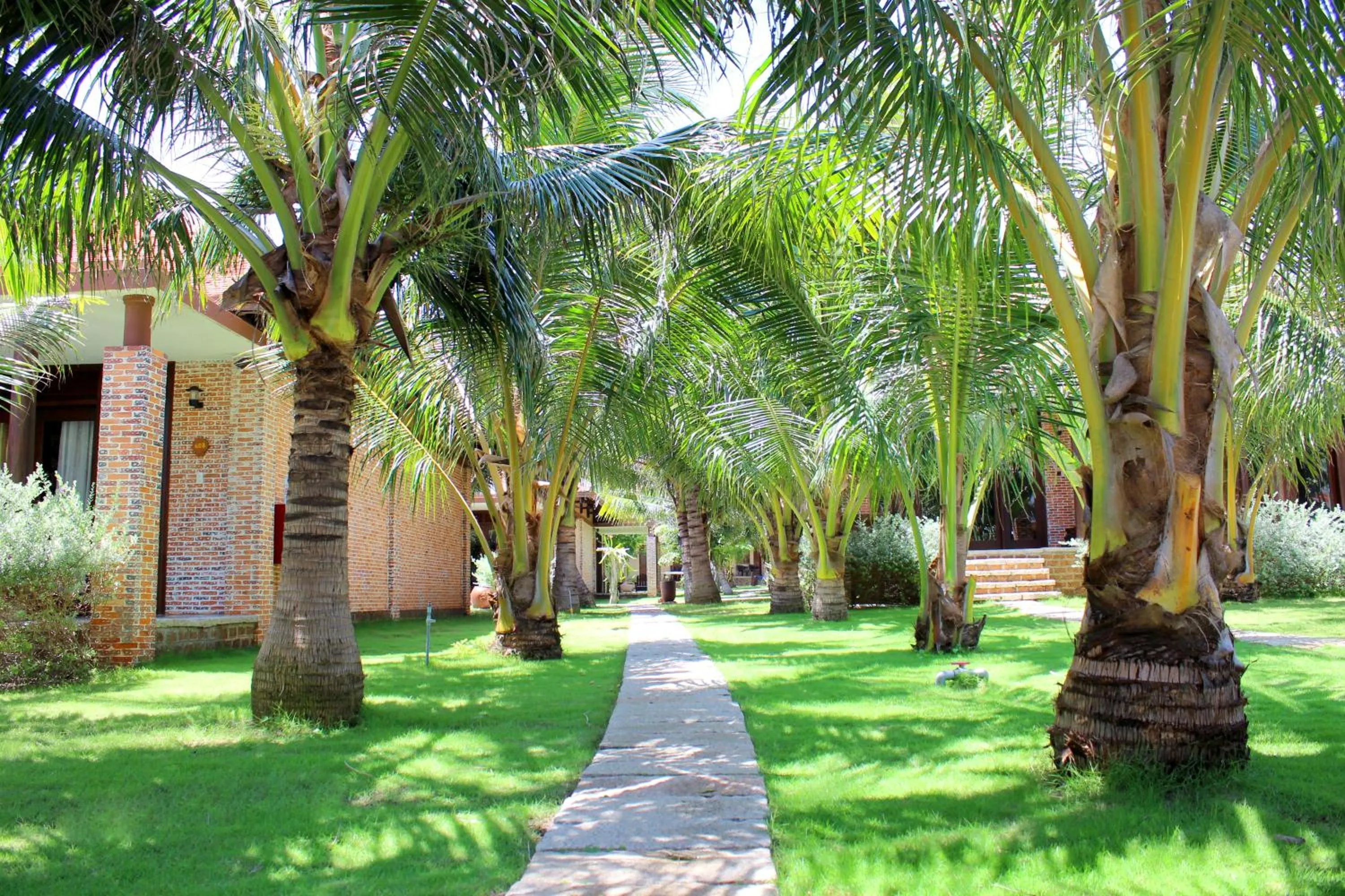 Garden in Blue Shell Resort
