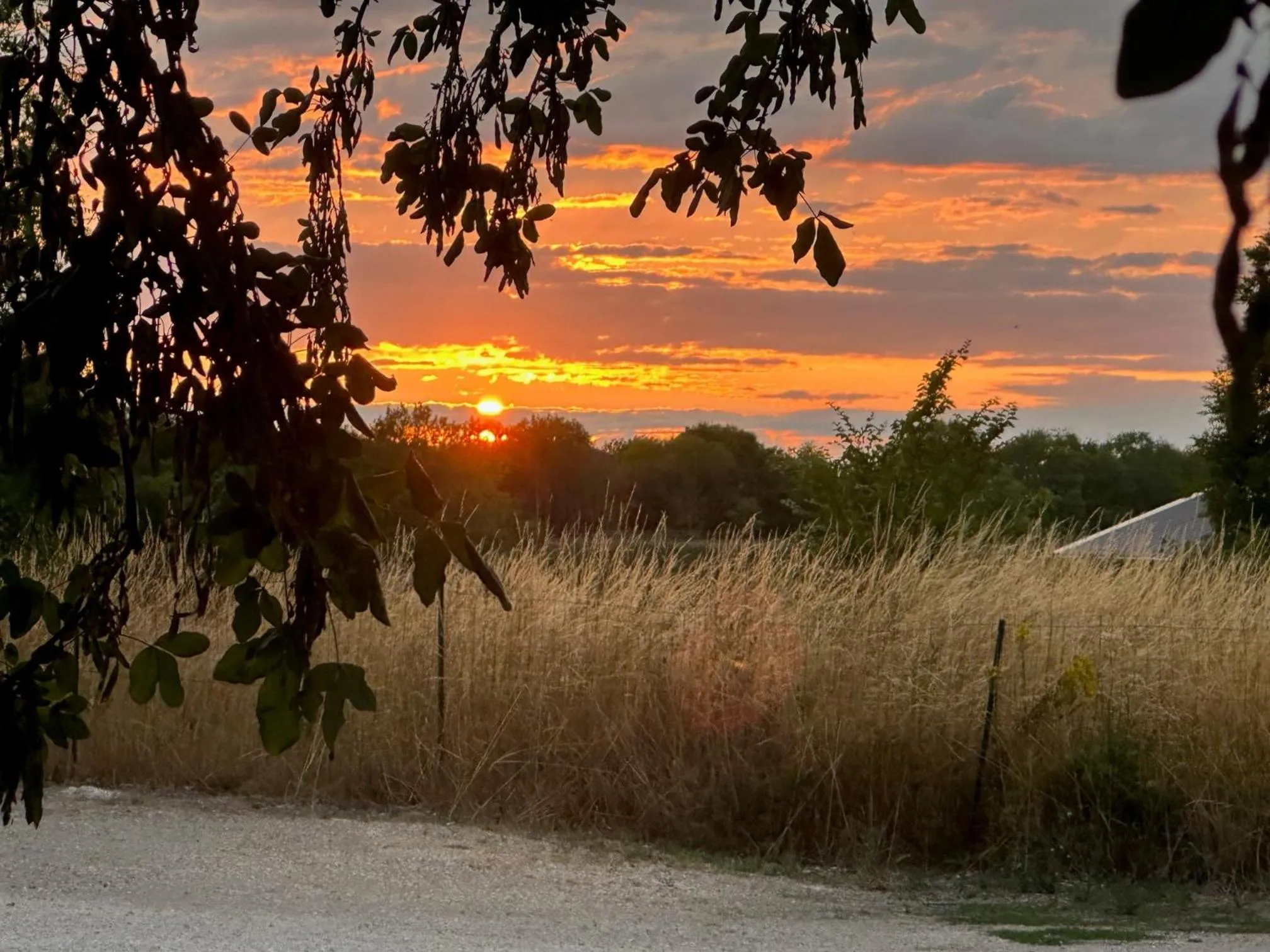 Summer in Hôtel HAPY