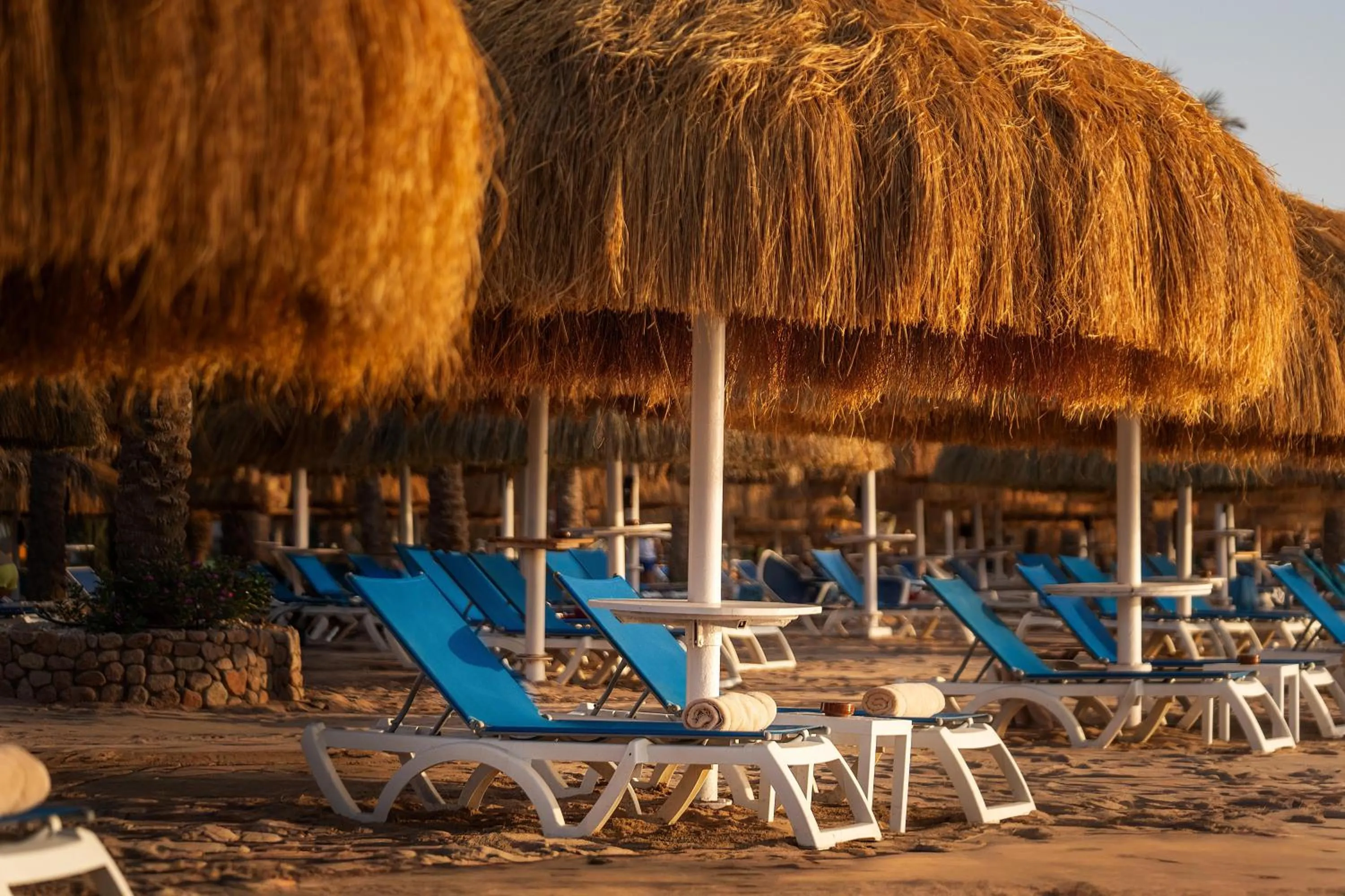 Beach in JAZ Fayrouz