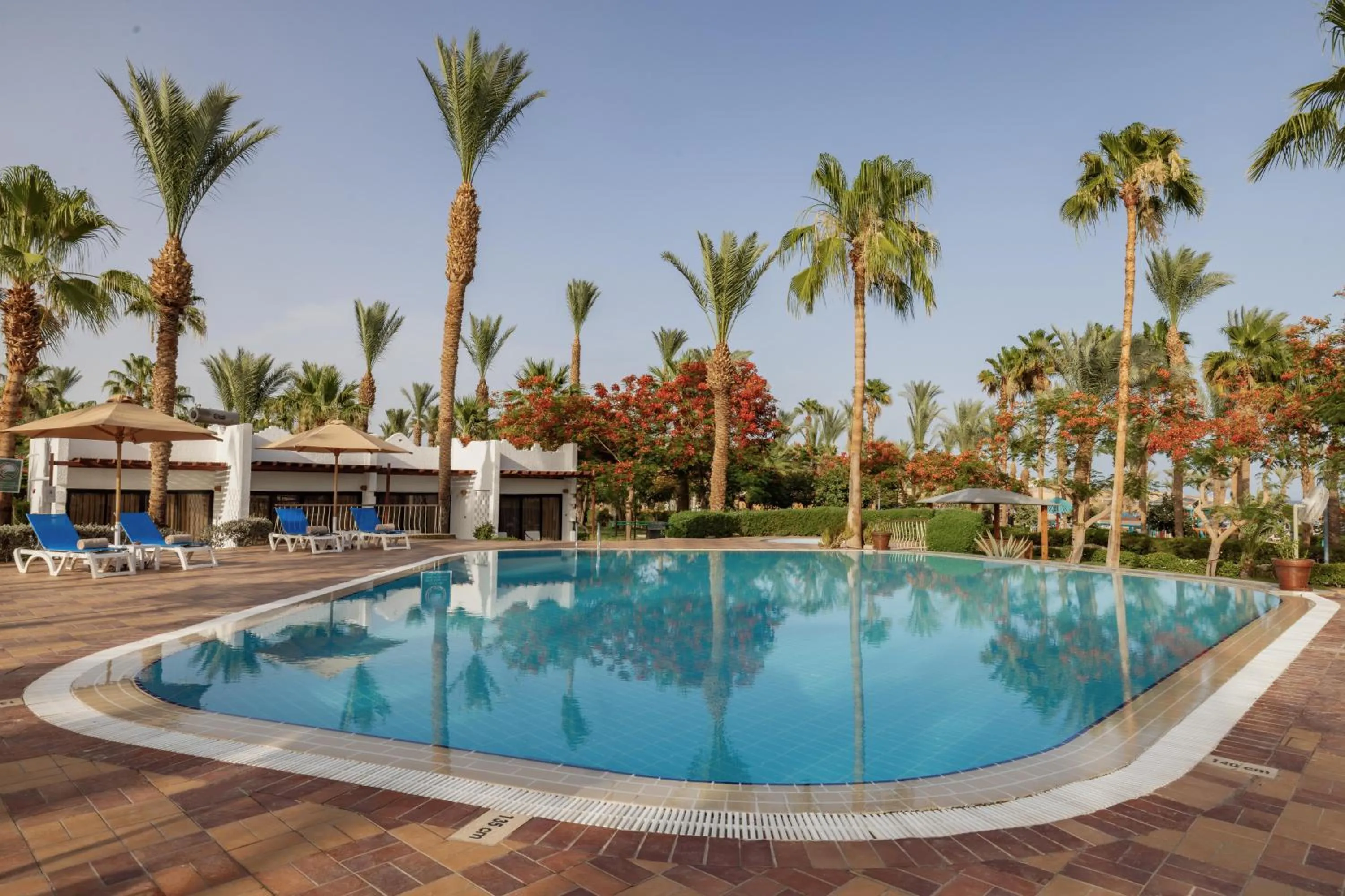 Swimming pool in JAZ Fayrouz