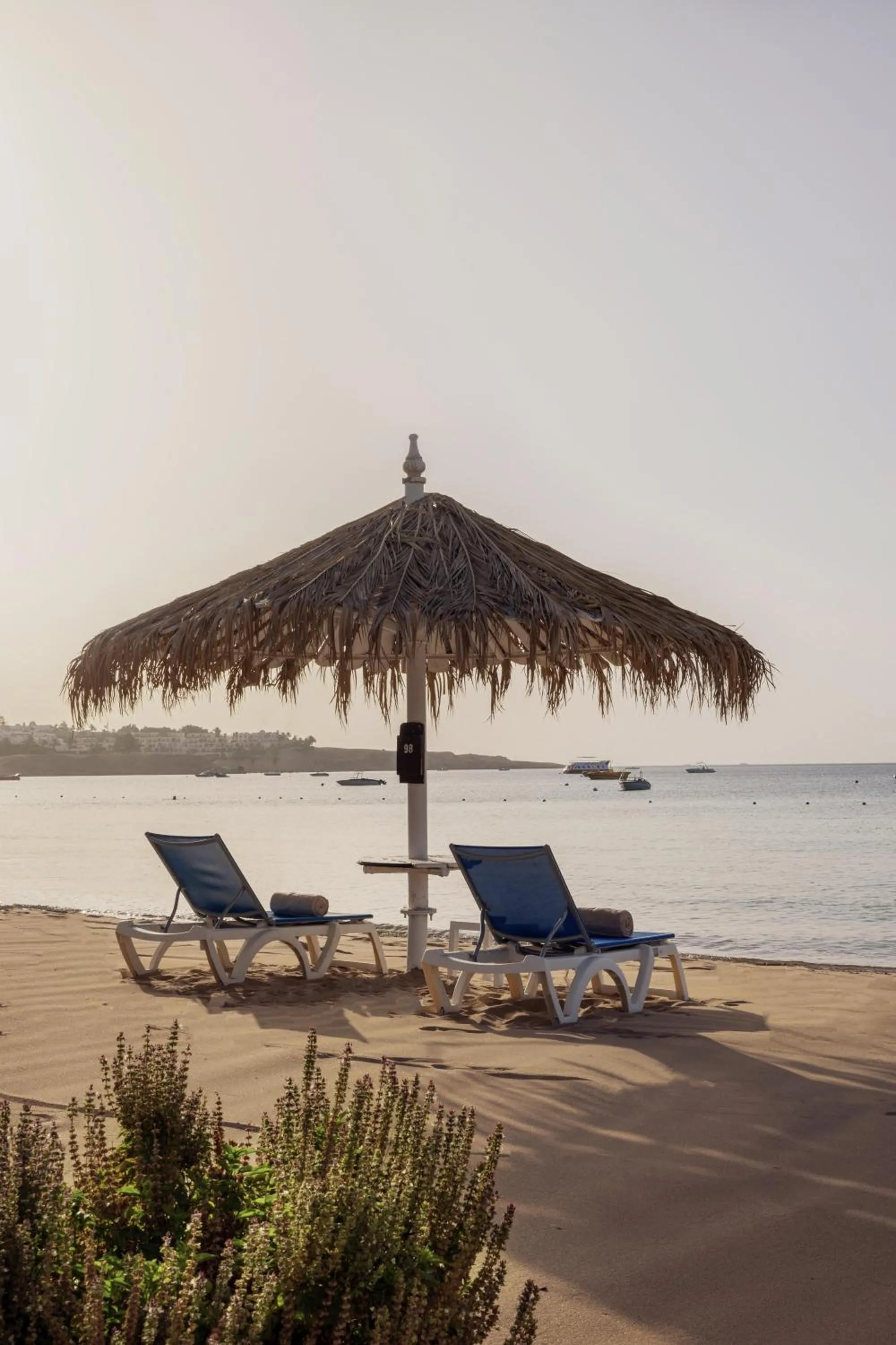 Beach in JAZ Fayrouz