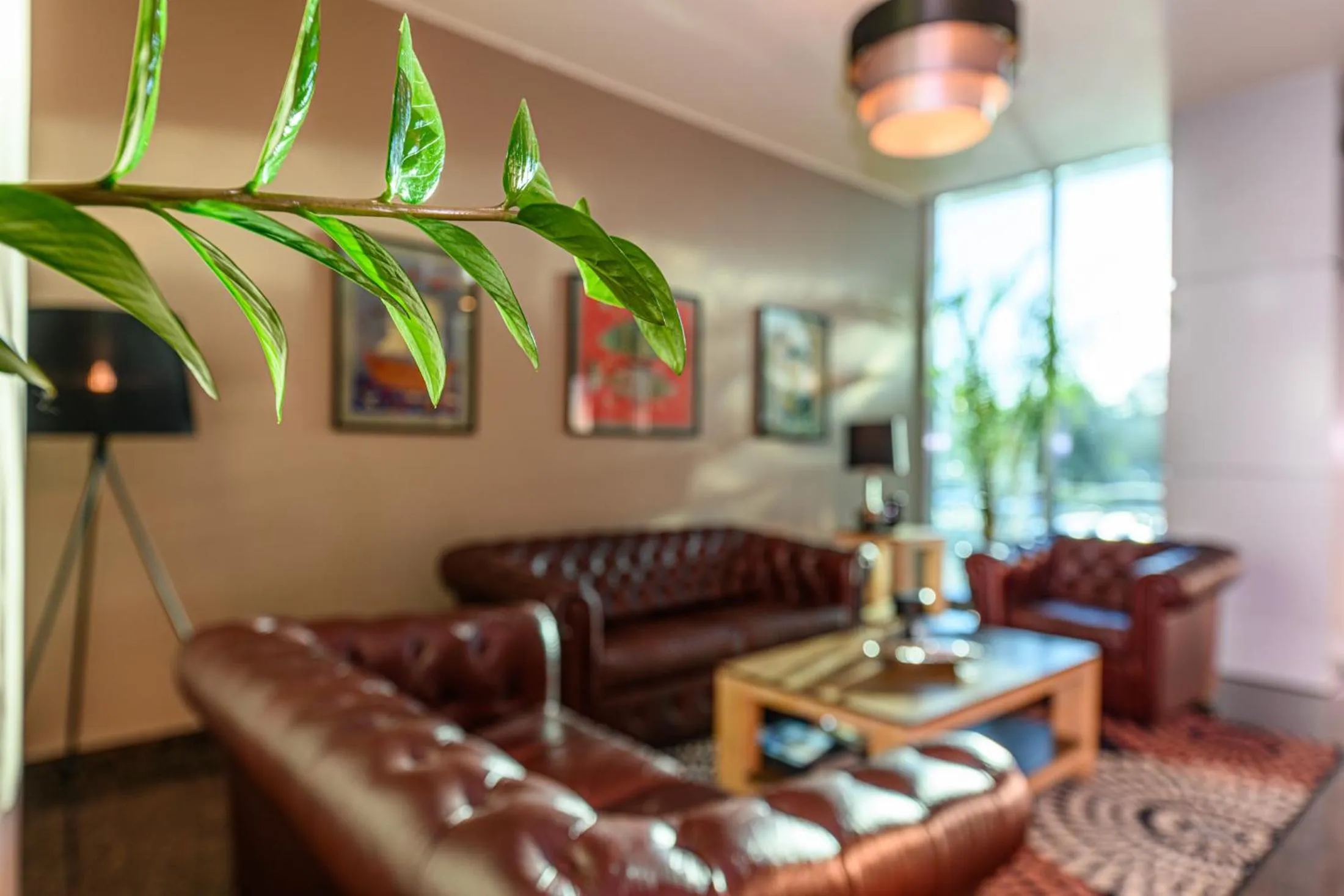 Lobby or reception in Vega Hotel