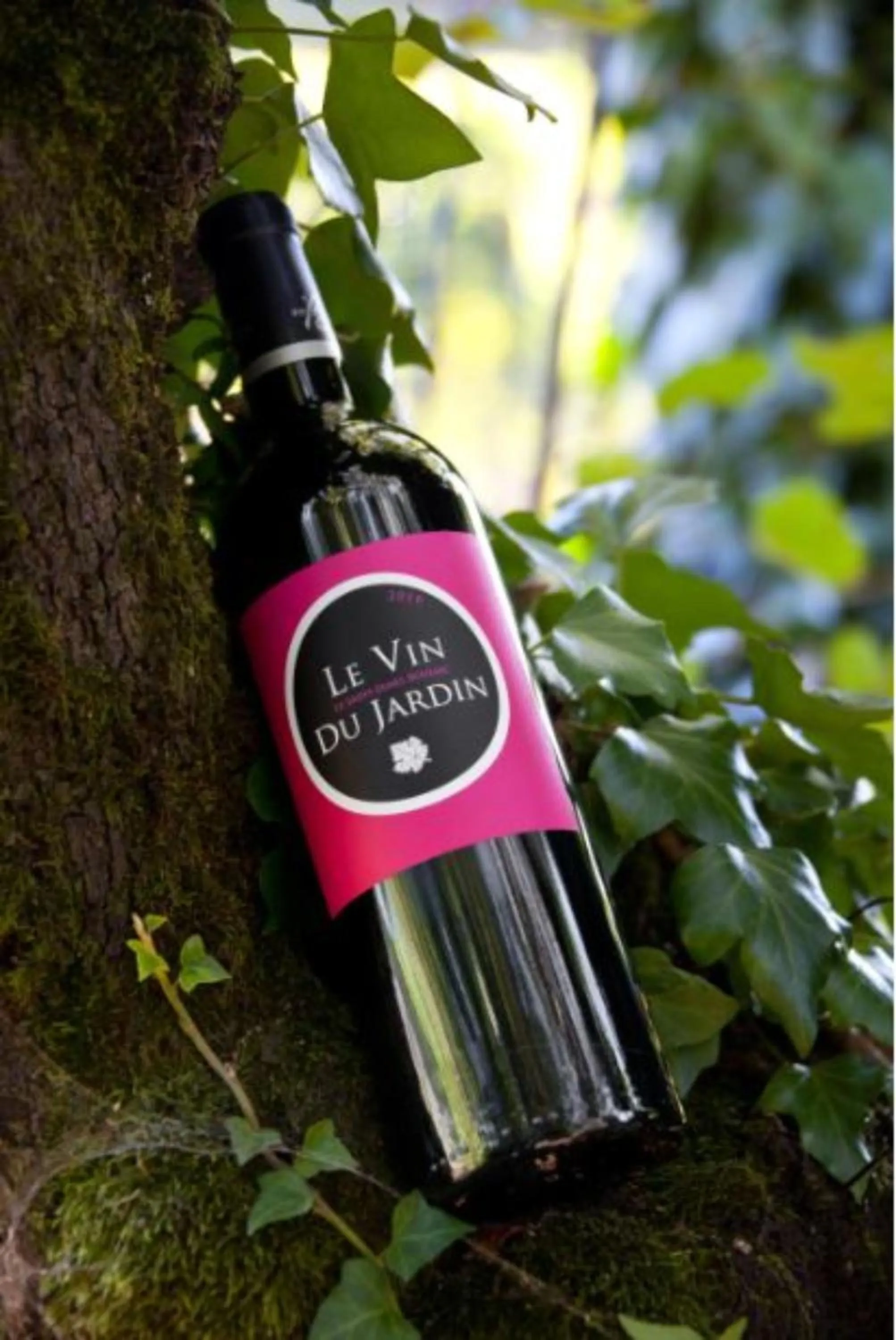 Alcoholic drinks in Hôtel Le Saint-James