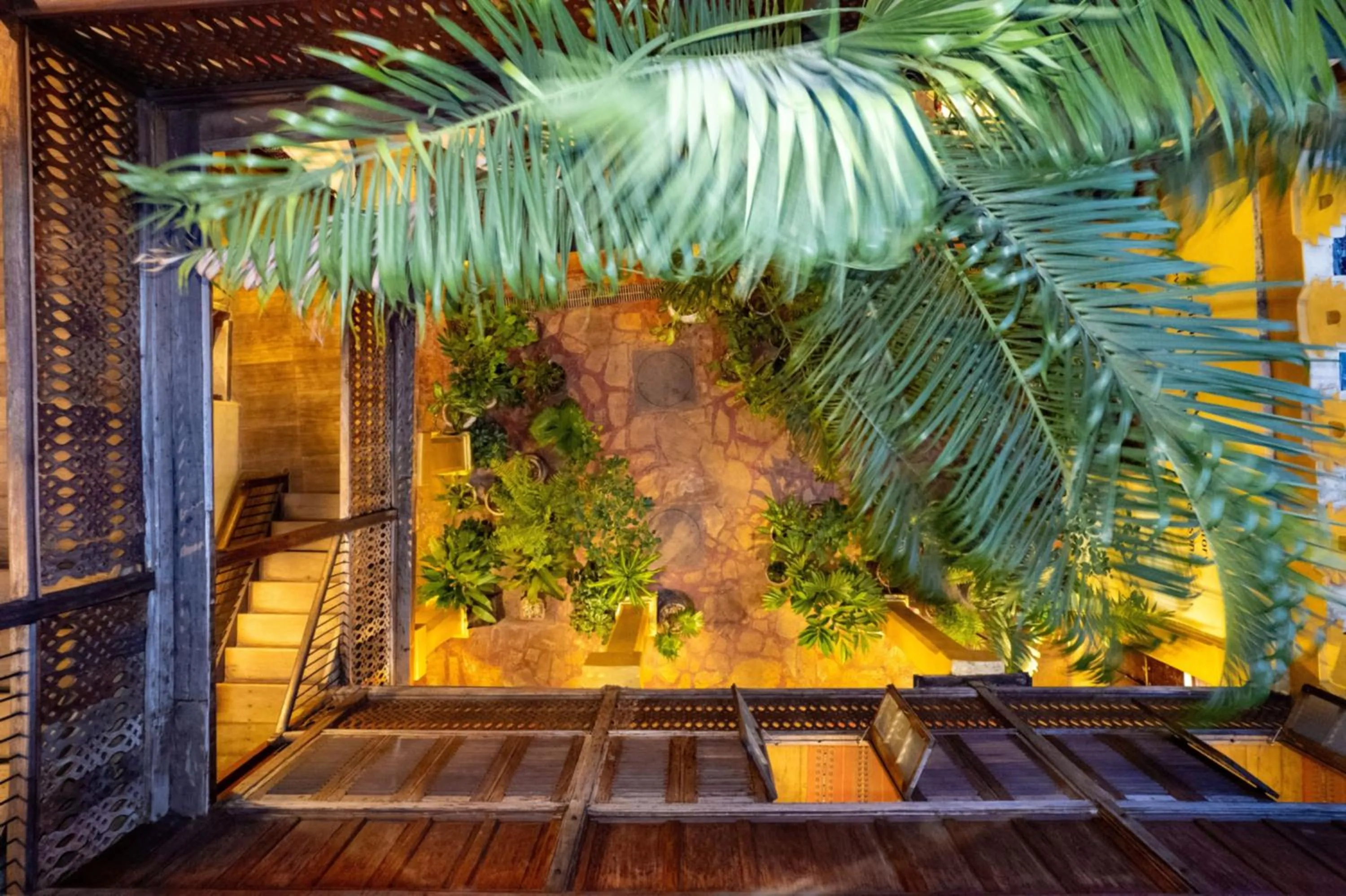 Garden in Jafferji House