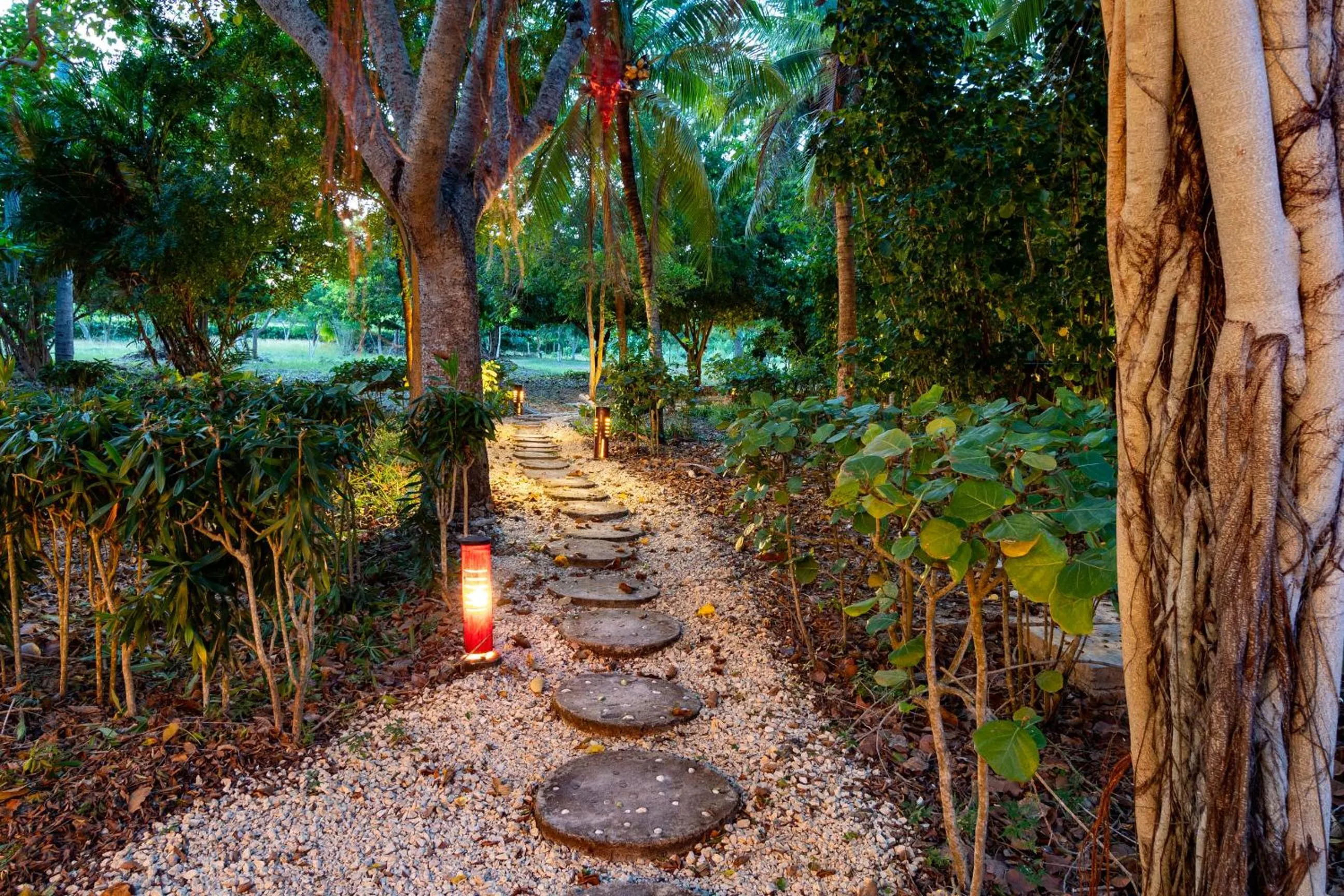 Garden in Hotel Playa Manglares Isla Baru