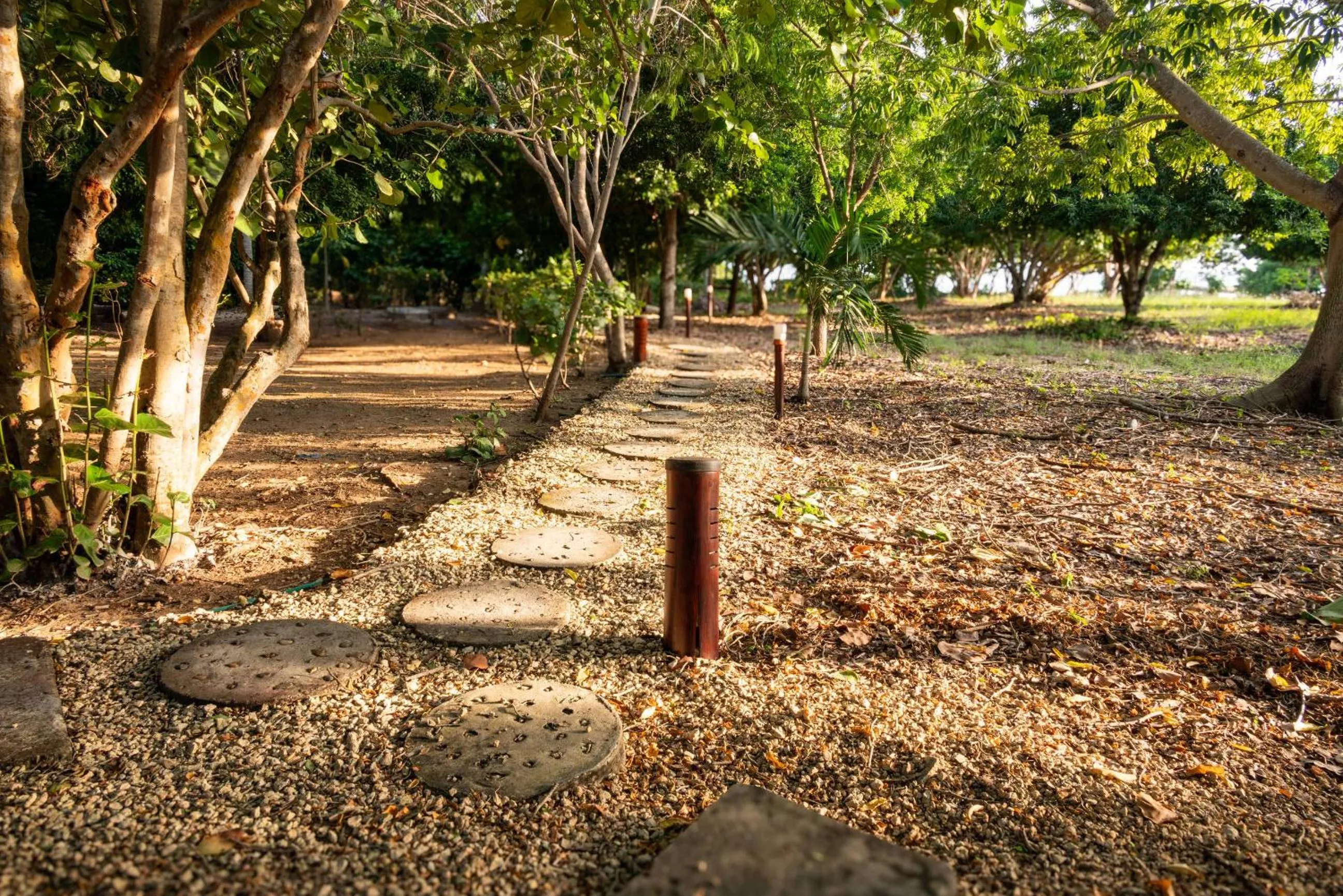 Garden in Hotel Playa Manglares Isla Baru