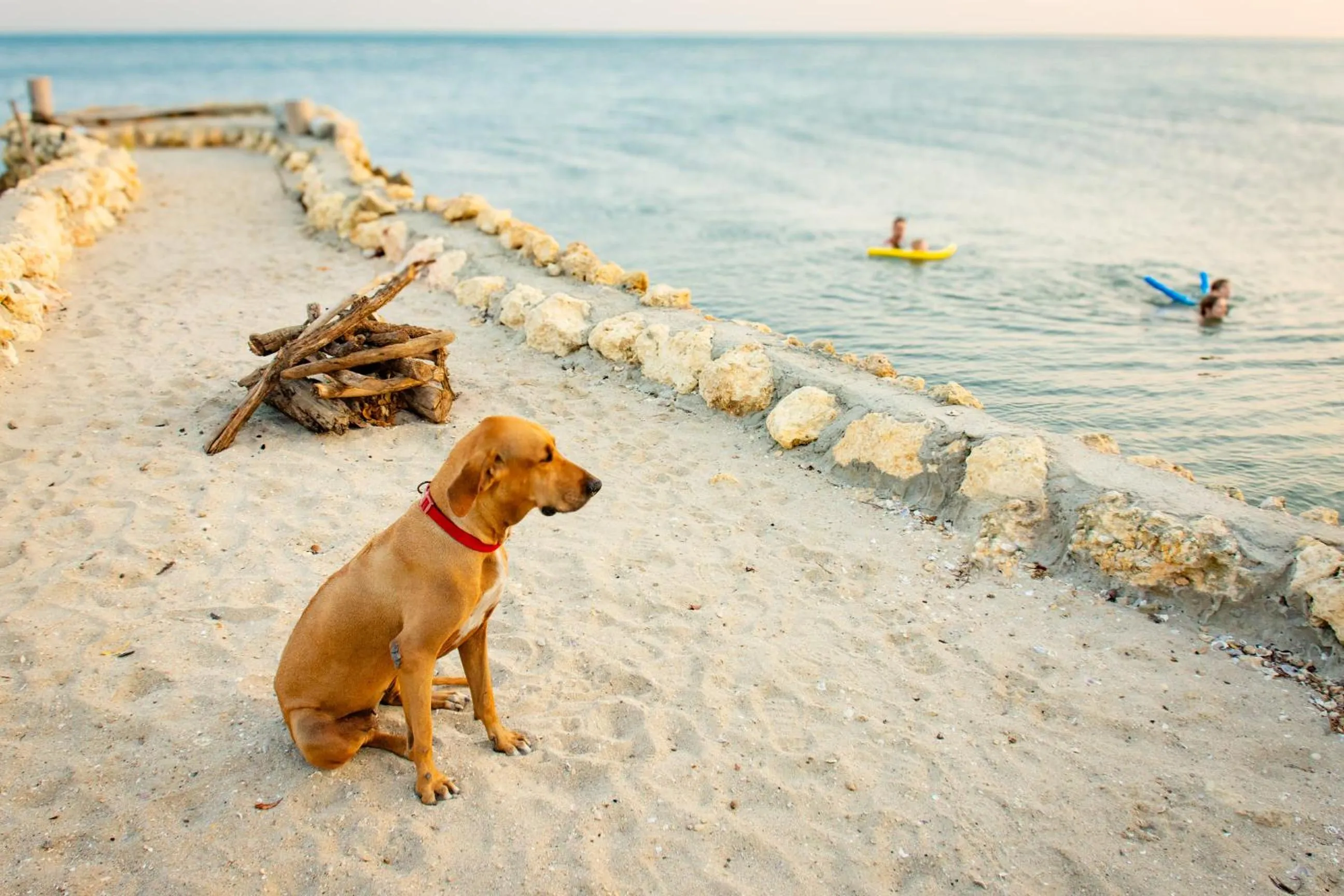 Beach in Hotel Playa Manglares Isla Baru