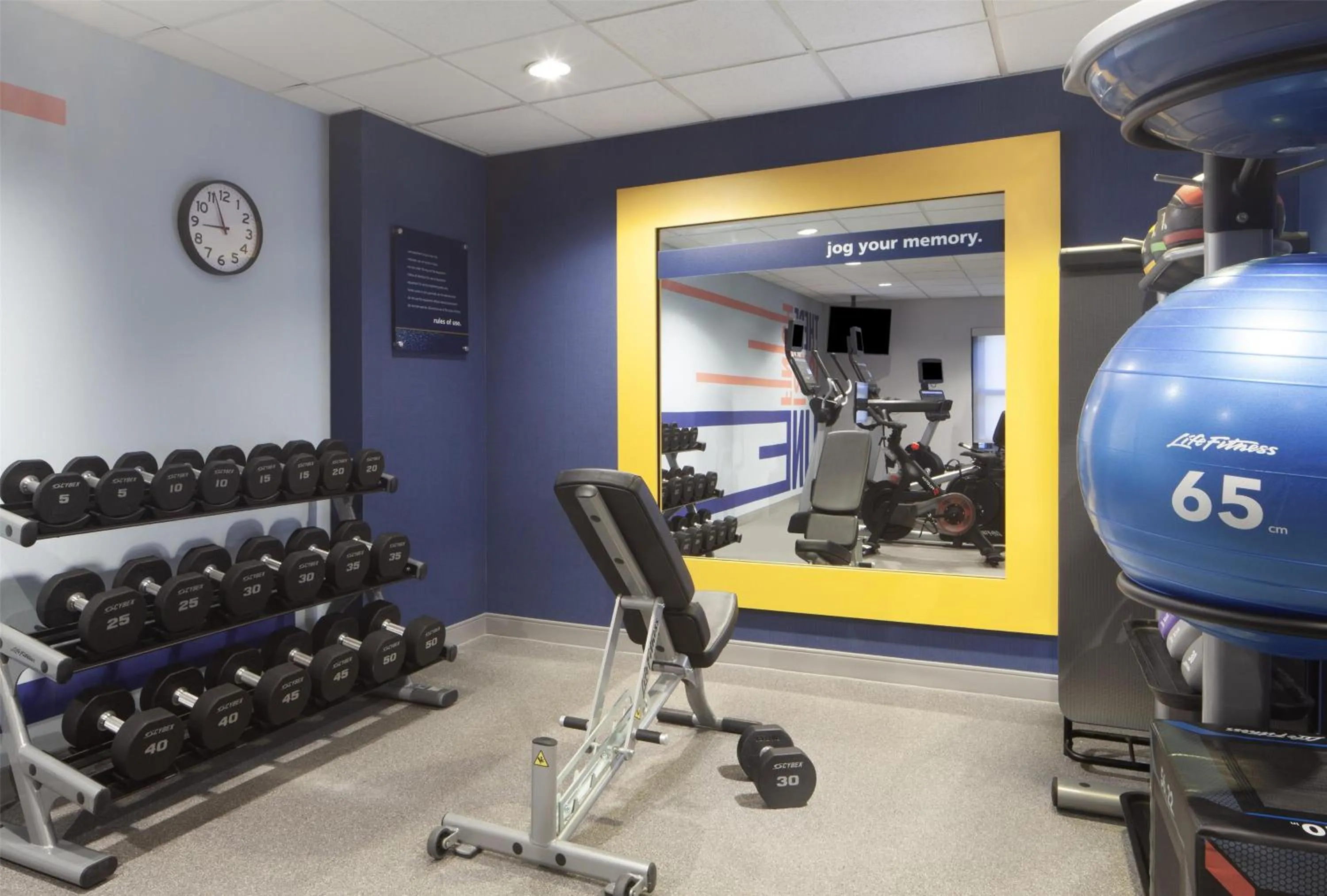 Fitness centre/facilities in Hampton Inn & Suites Tampa-North