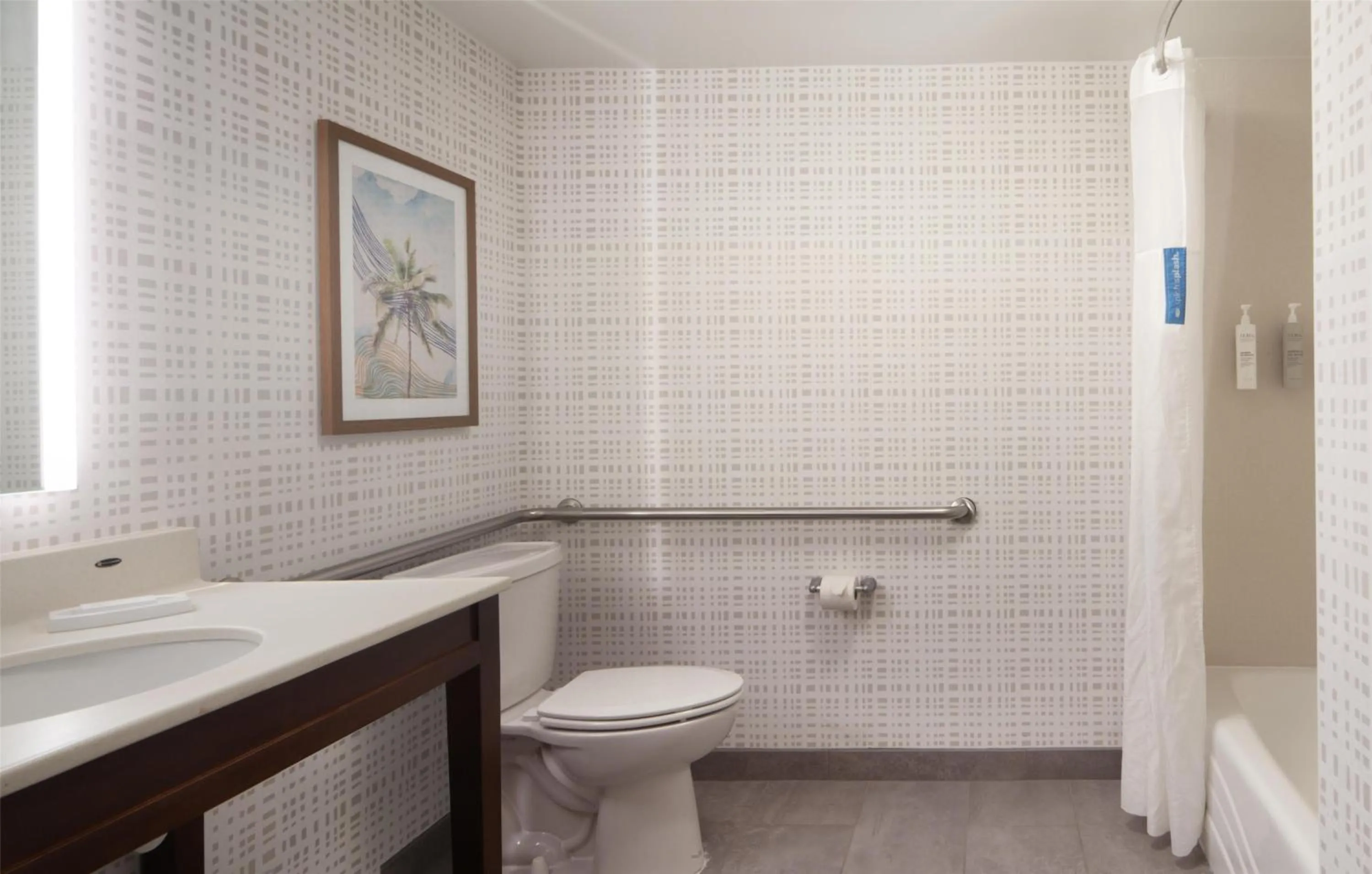 Bathroom in Hampton Inn & Suites Tampa-North