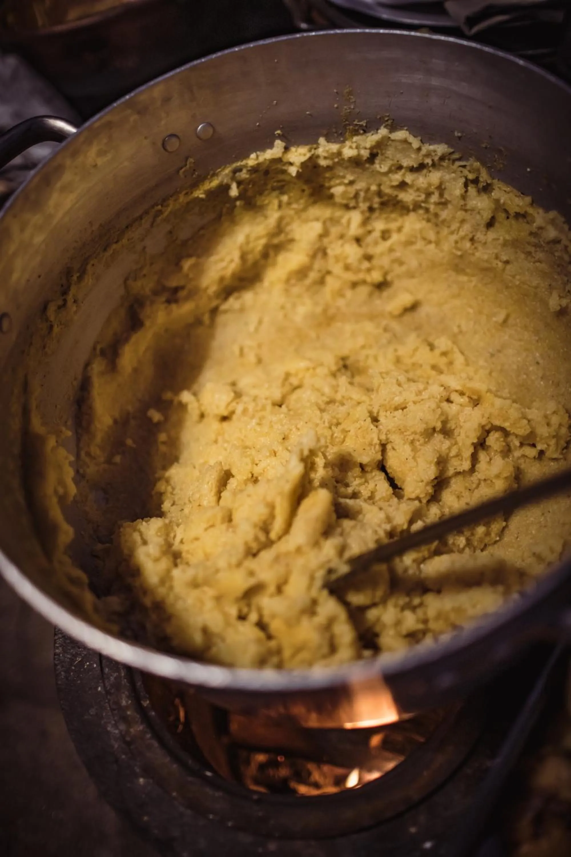 Garden in Chalet Svizzero