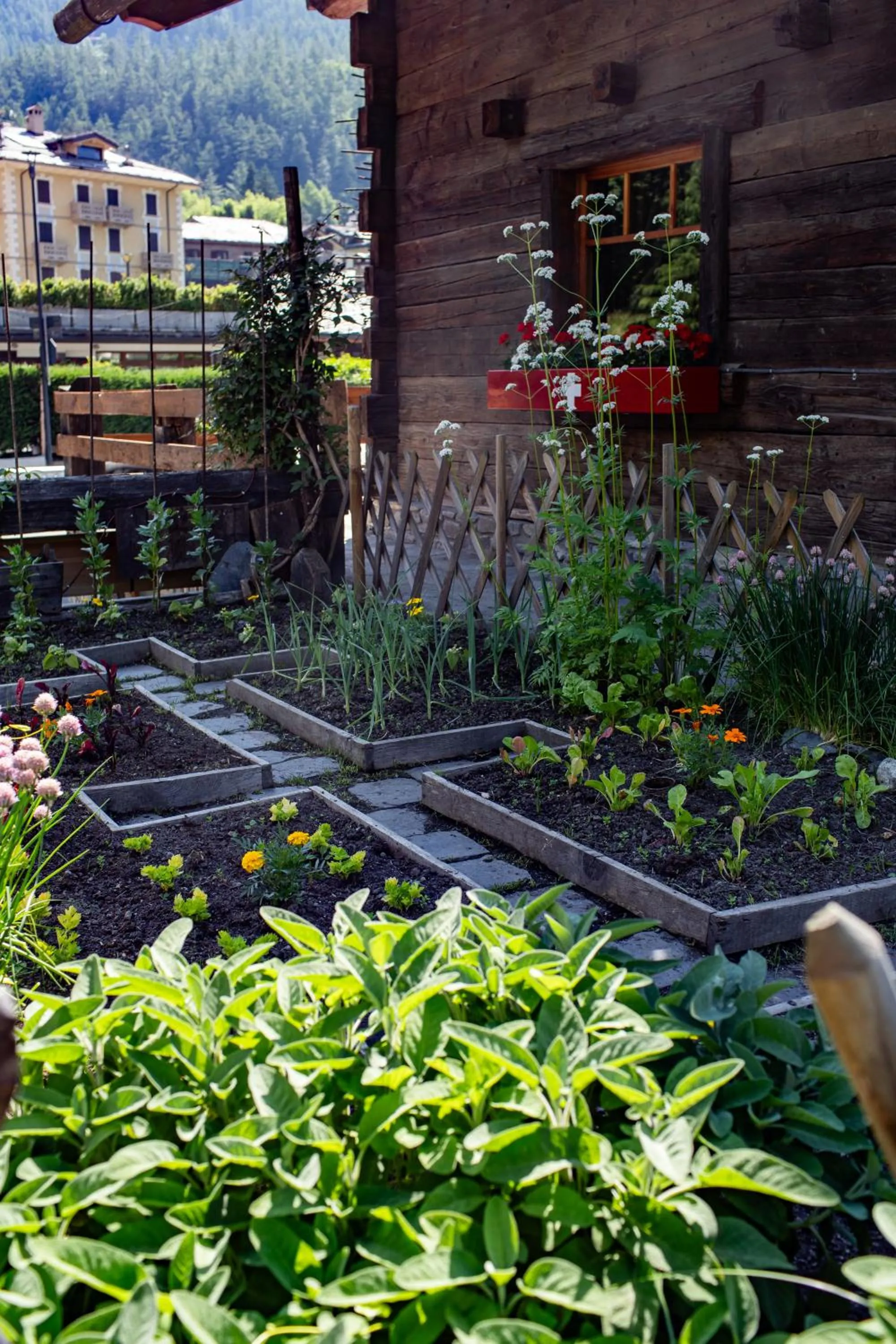 Garden in Chalet Svizzero