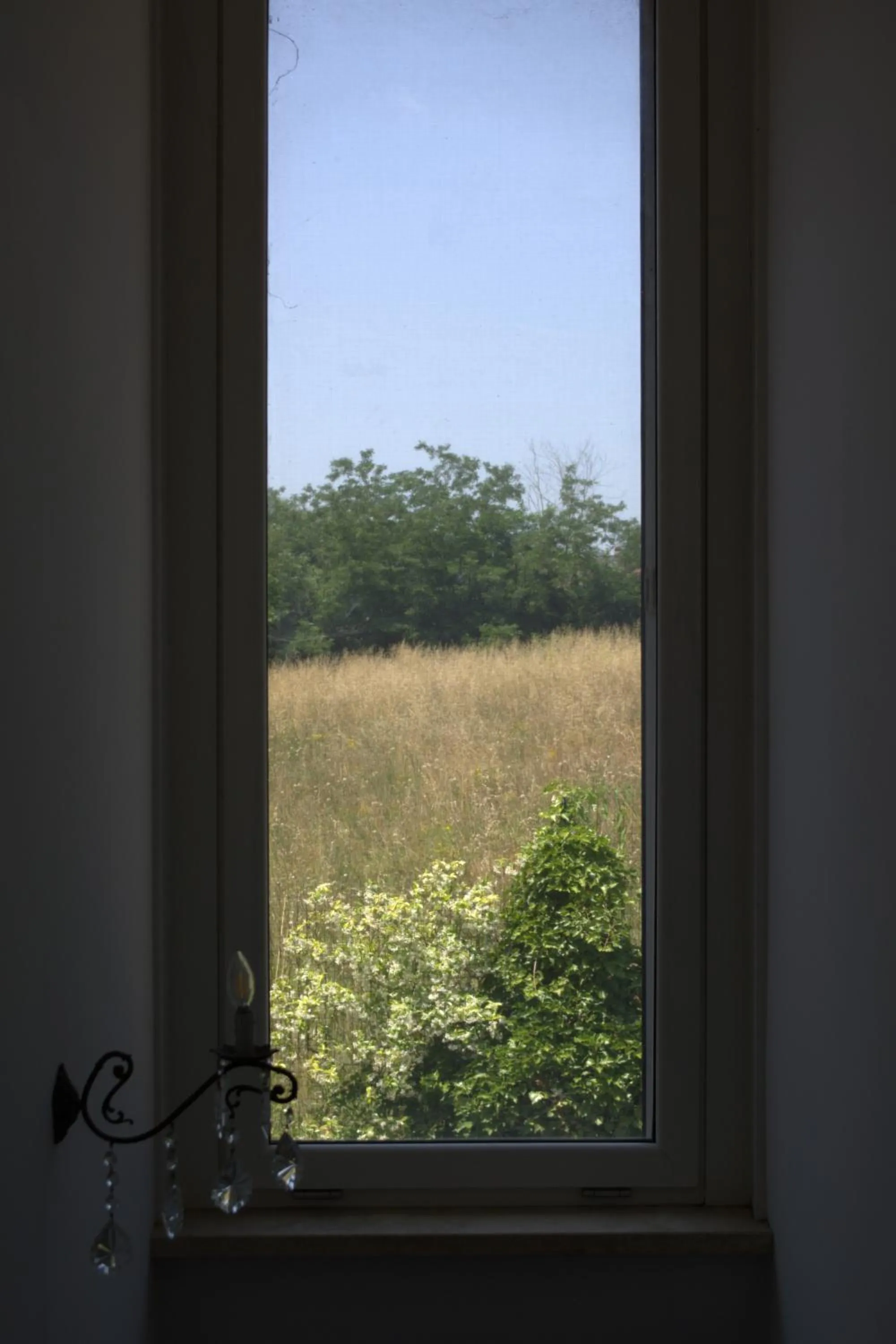 Garden view in B&B Terra del Sole