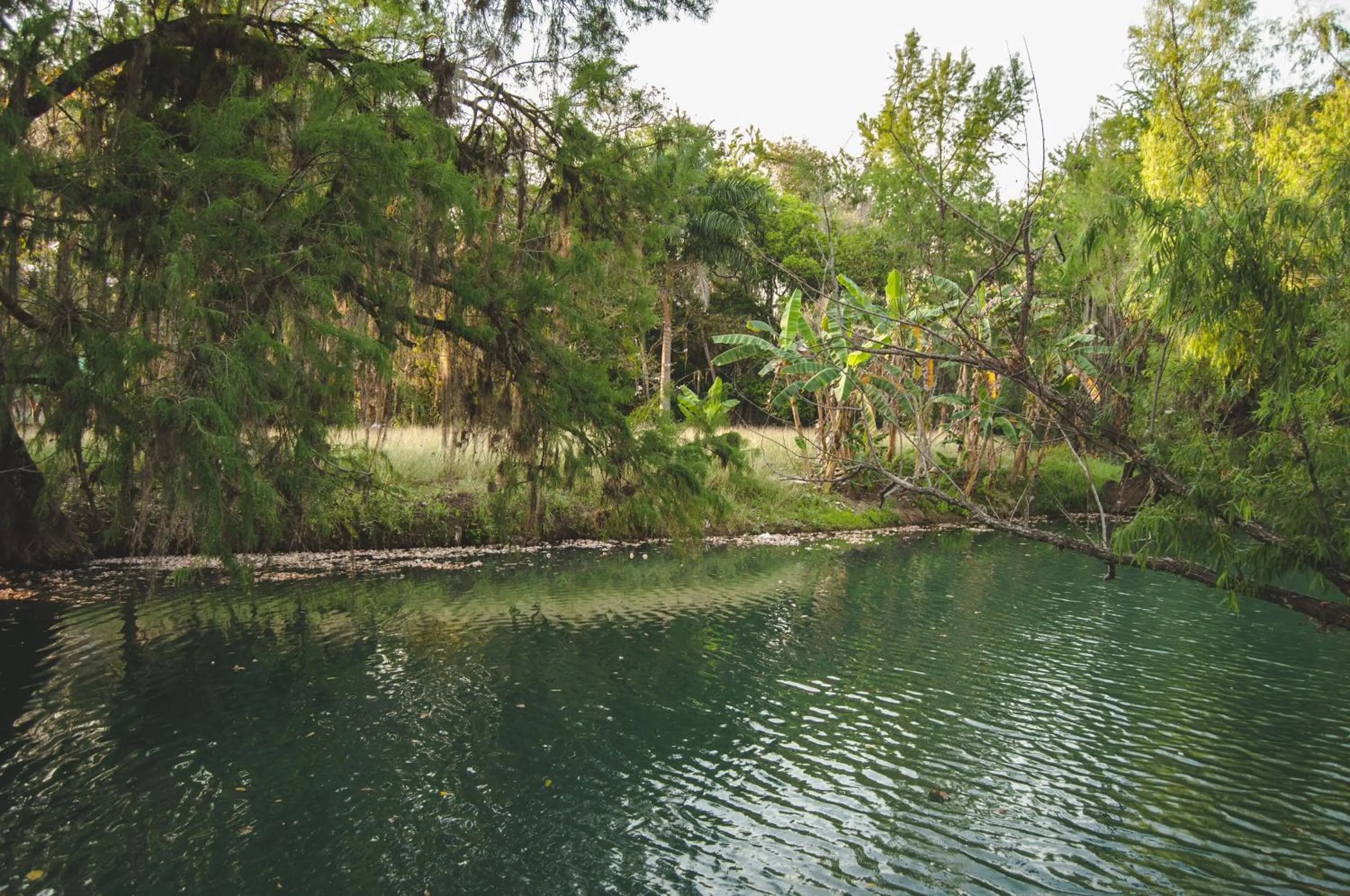River view in Hotel y Restaurante EL TEXANO
