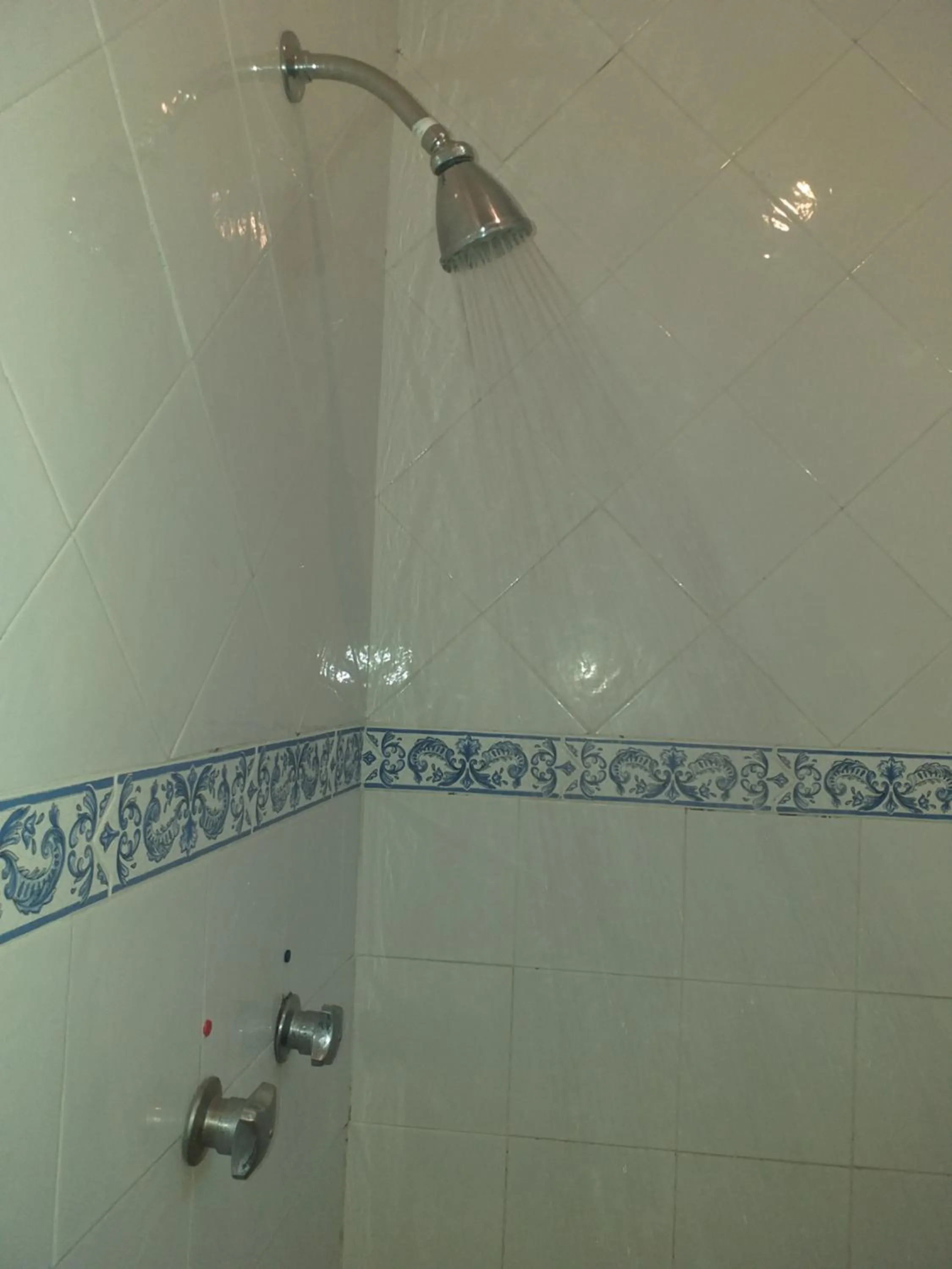 Shower in Best Western Saltillo