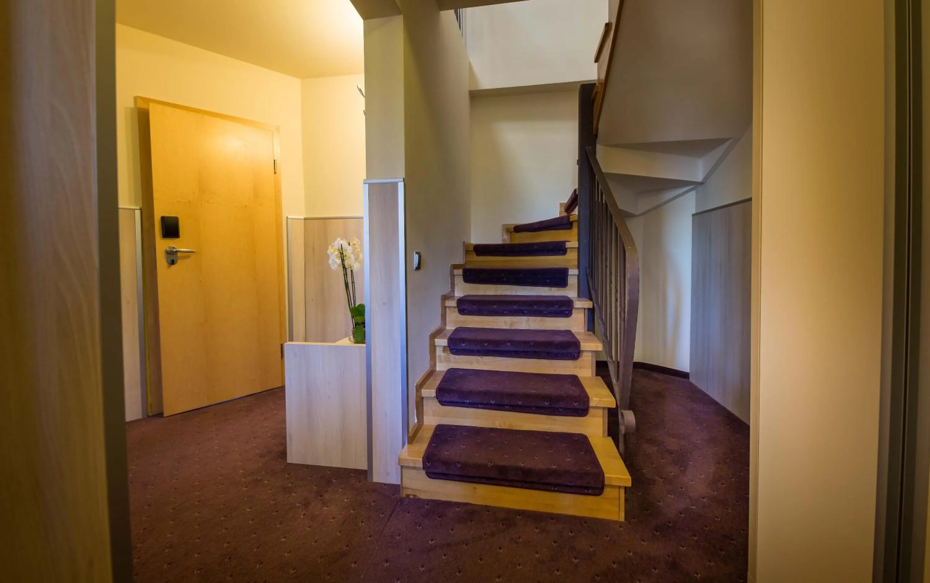 Photo of the whole room in Eden Grand Resort