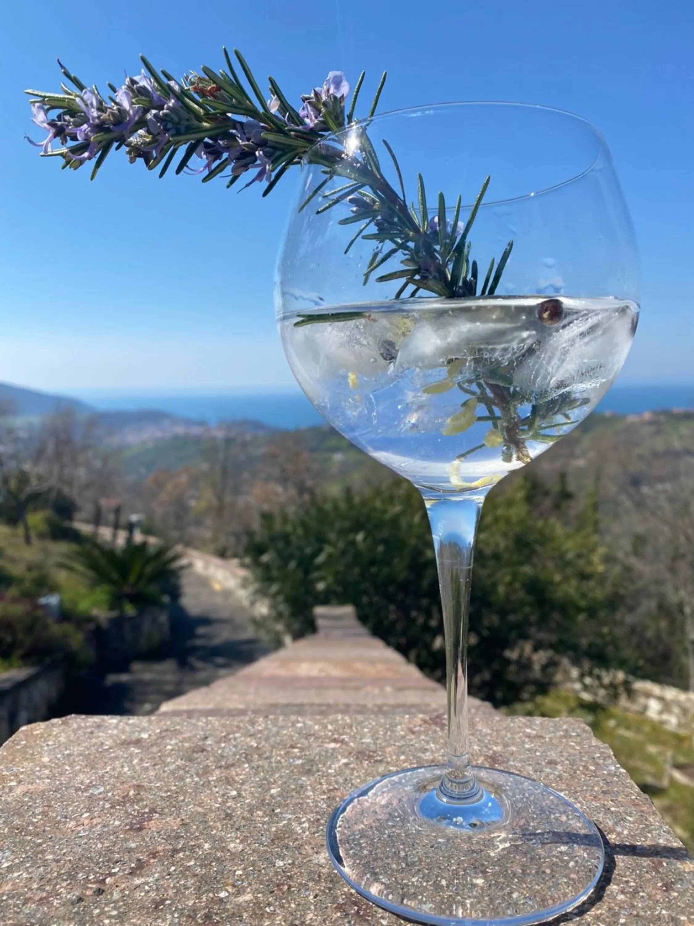 Drinks in B&B Il giardino di Armida