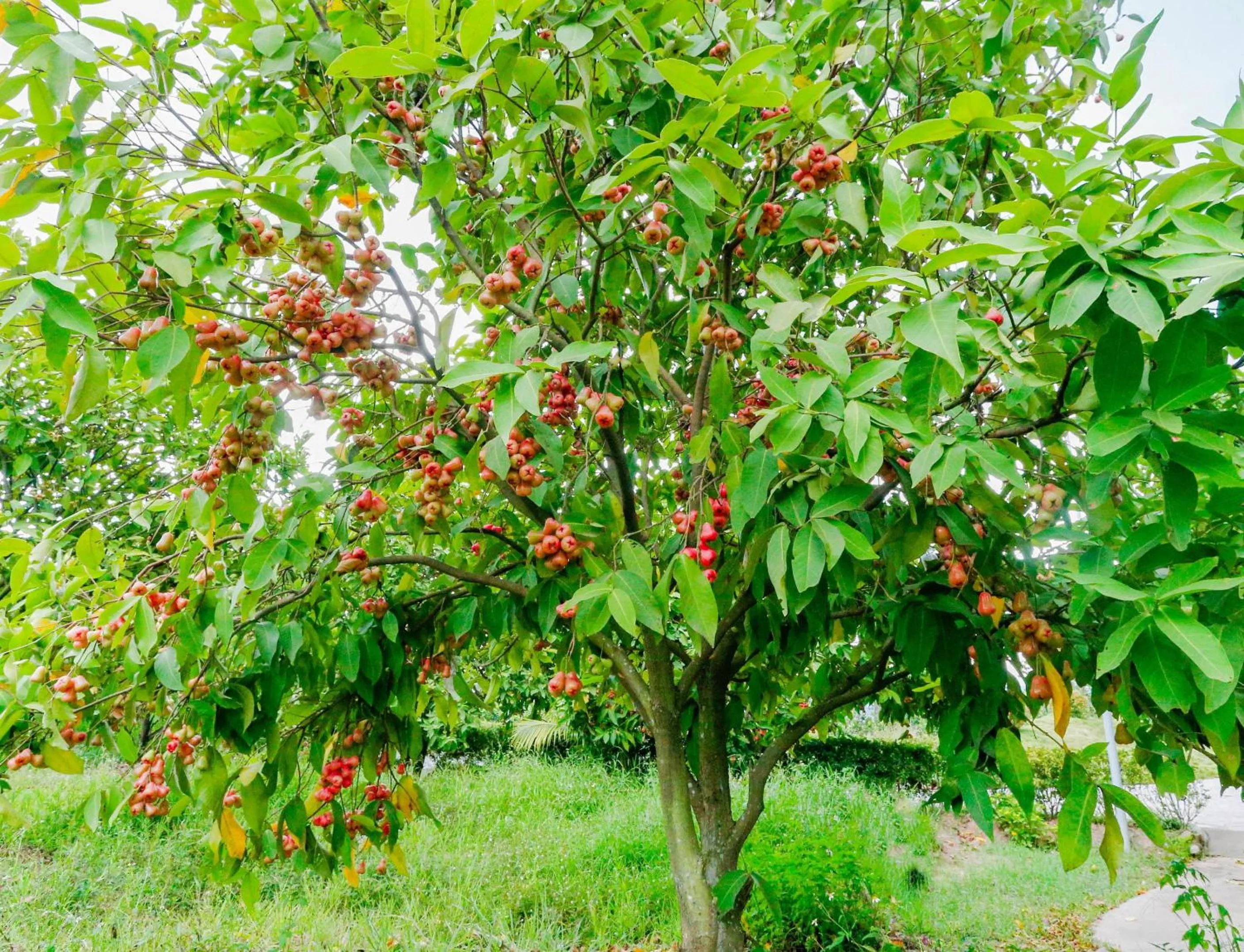 Neighbourhood in My Son Heritage Resort and Spa