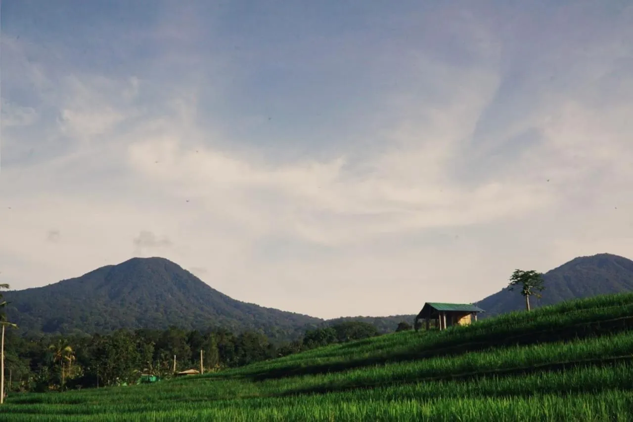 Natural landscape in Dukuh Baturan Villa