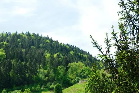 Day in Hotel Prinzen