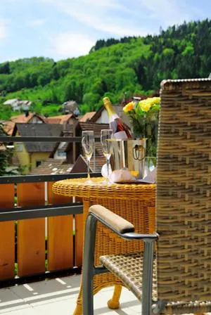 Balcony/Terrace in Hotel Prinzen