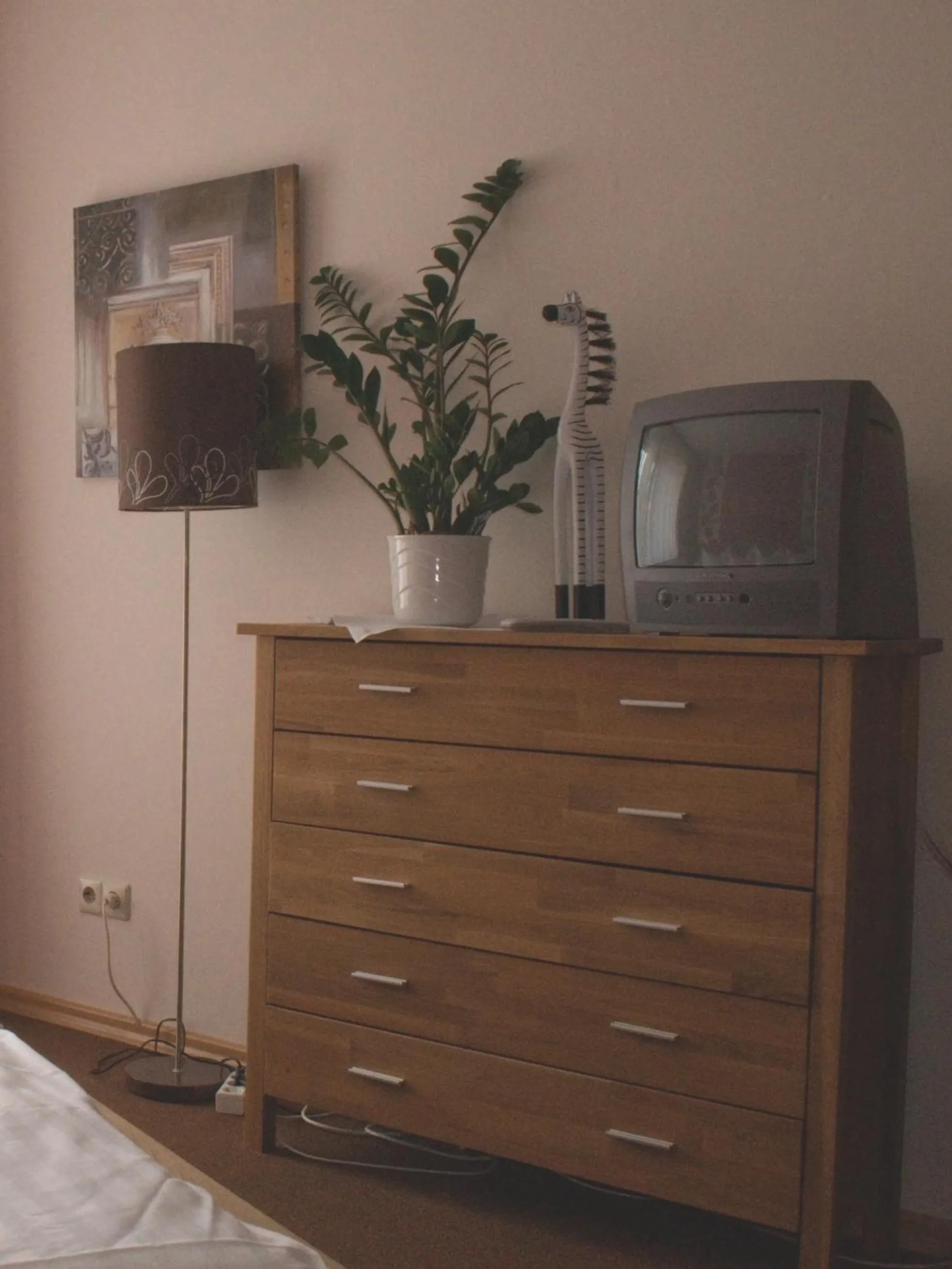 TV and multimedia in Hotel Cafe Bothe