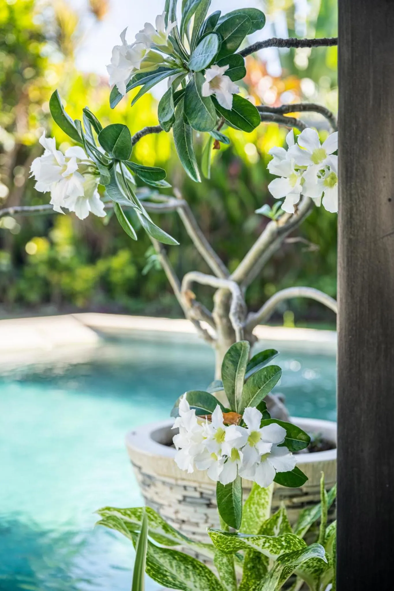 Decorative detail in Jagaditha Villas