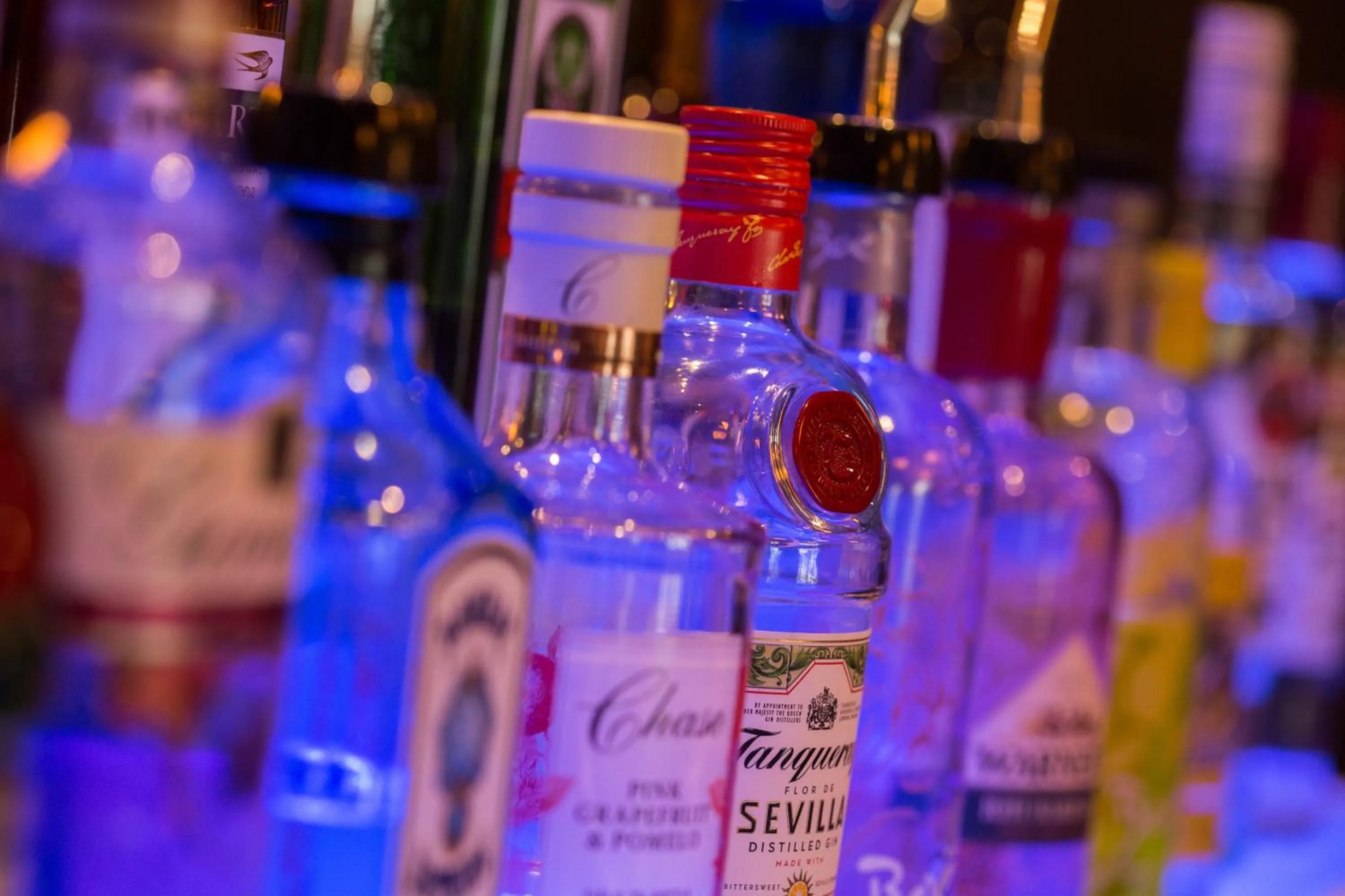 Lounge or bar in Hotel Sheraton