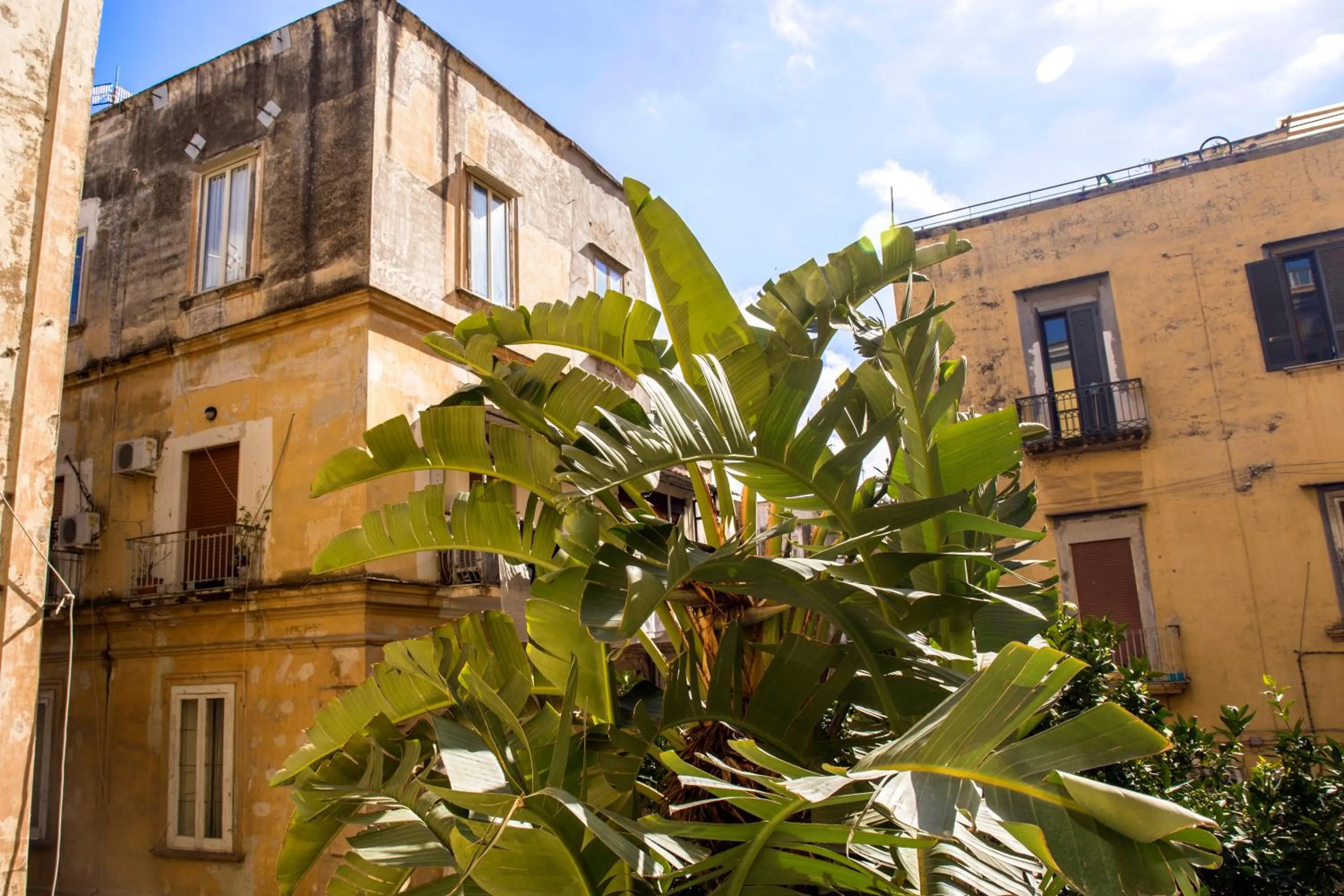 Garden view in 26 Urban Guest House