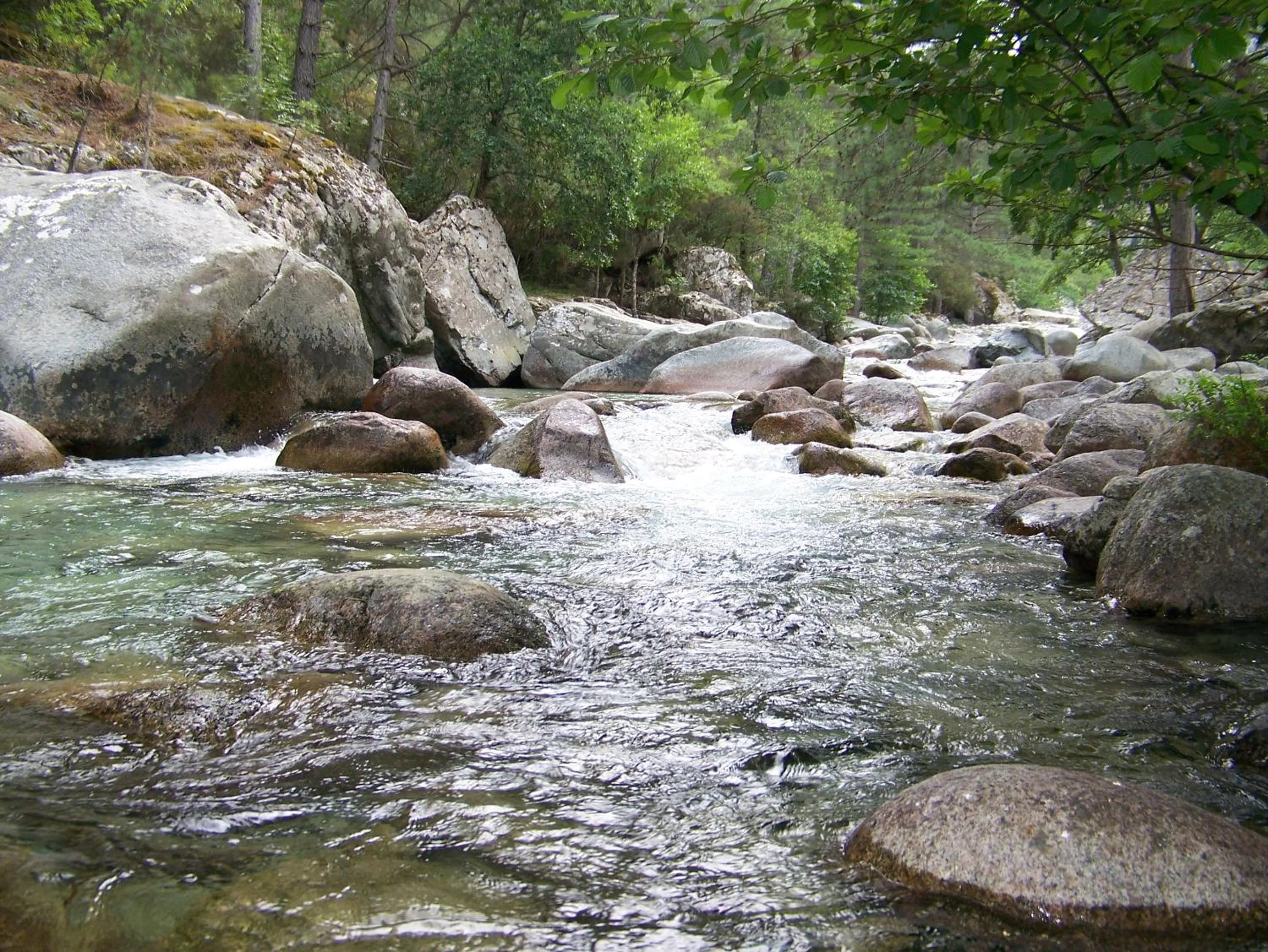 Area and facilities in Vanina Park