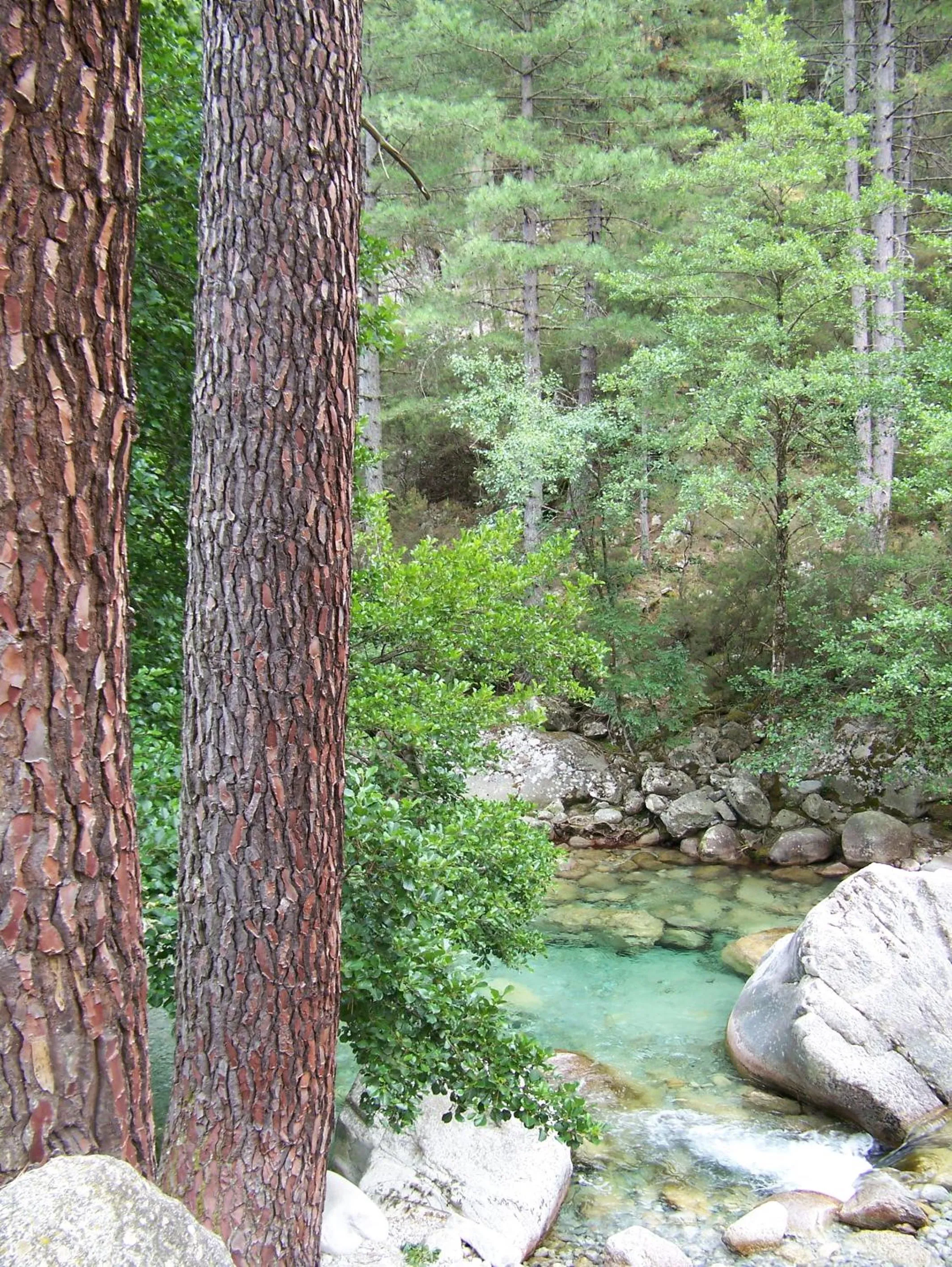 Area and facilities in Vanina Park