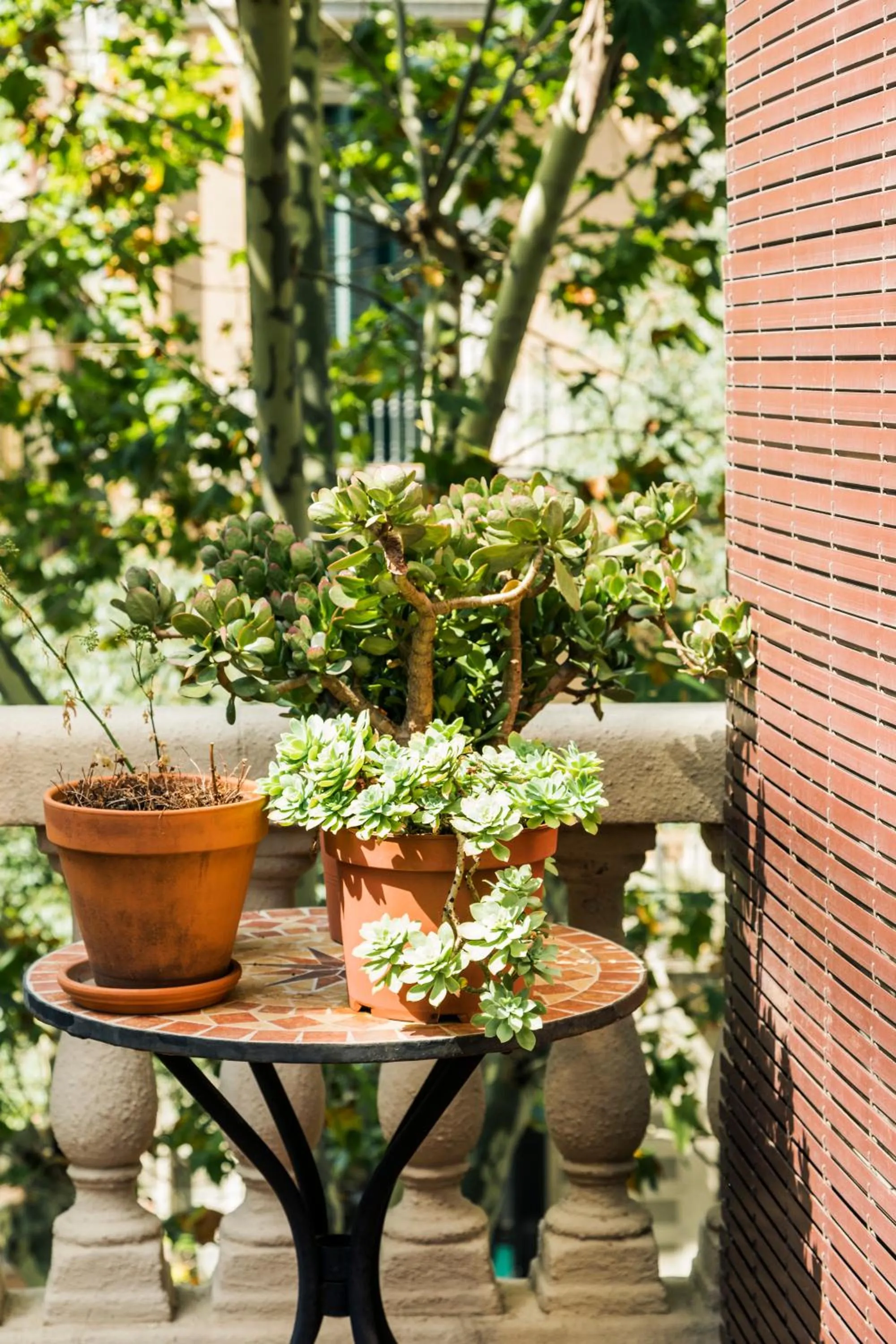 Patio in La Casa Gran B&B