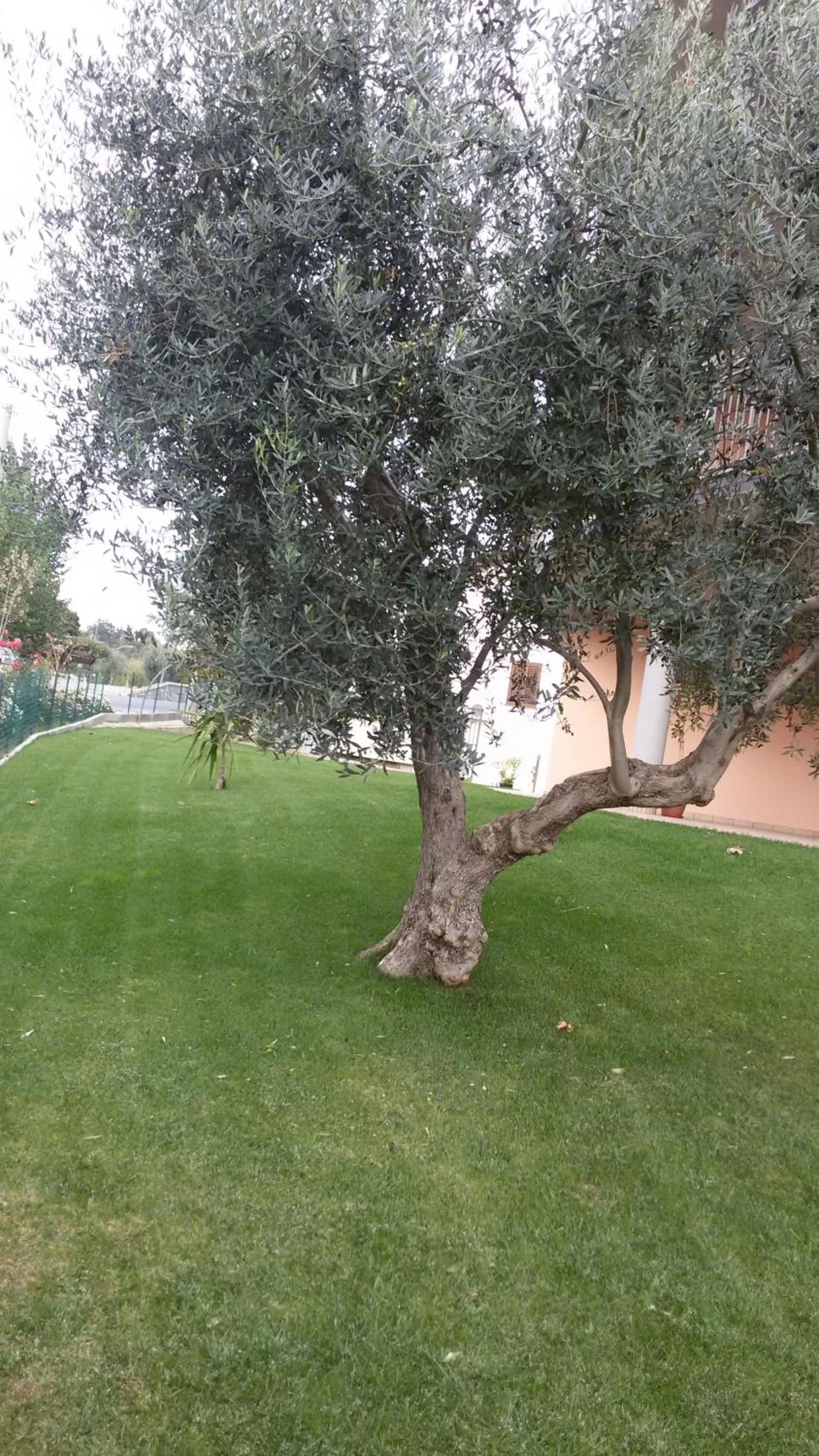 BBQ facilities in Hotel 660